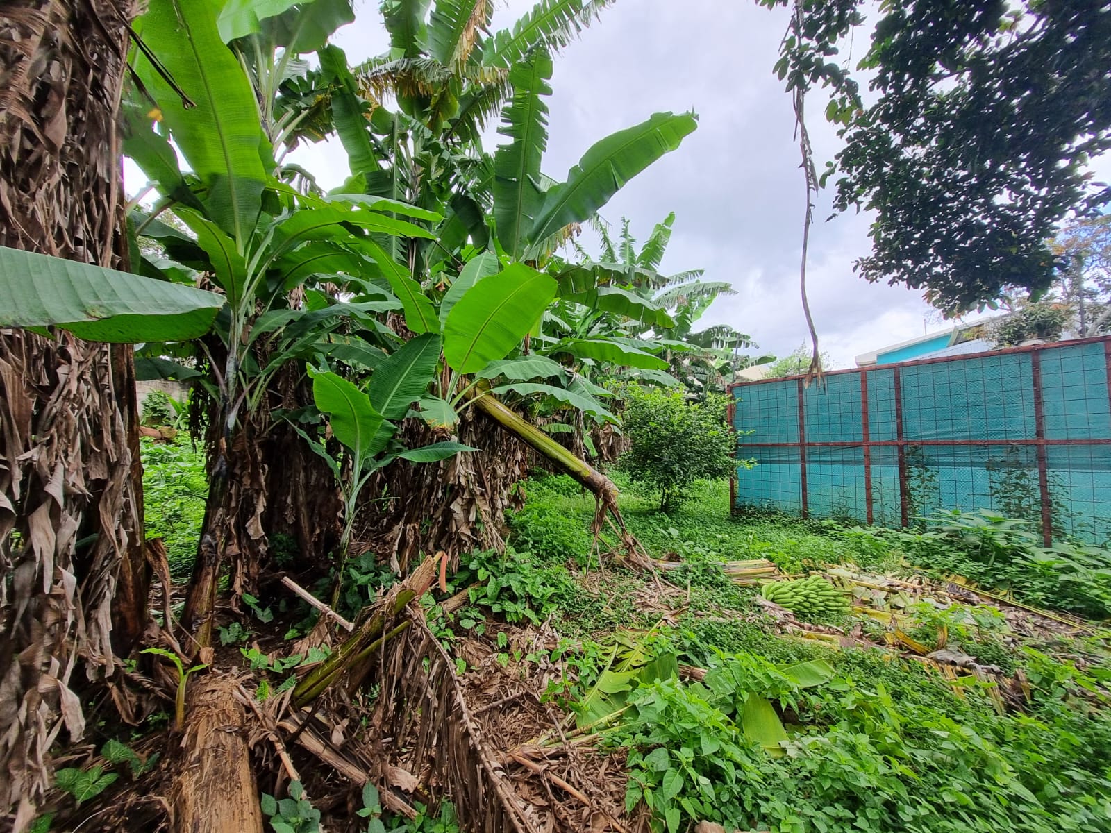 0 bed Land For Sale in Zapote, San Jose - thumb 3