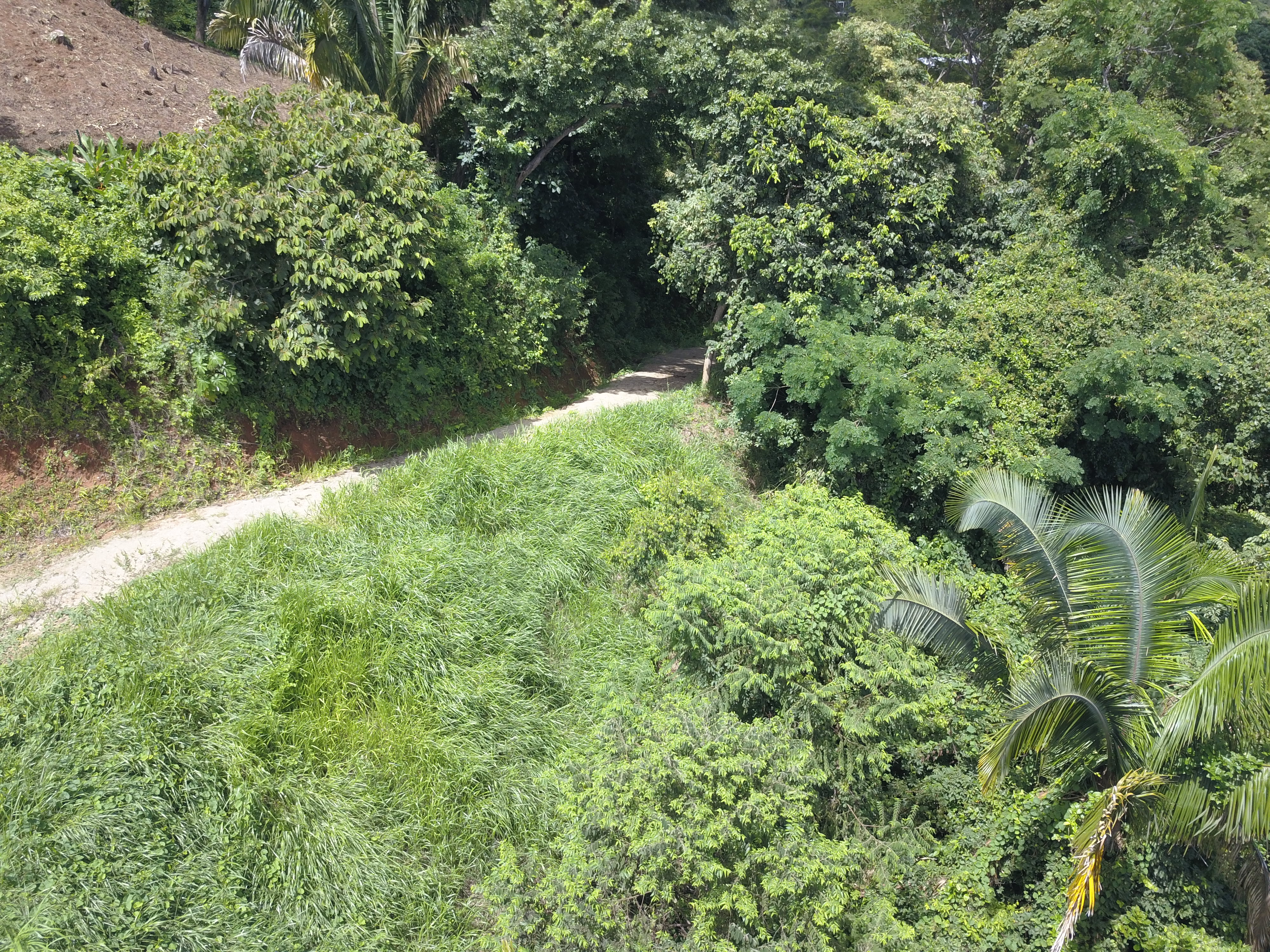 0 bed Land For Sale in Samara, Guanacaste - thumb 5