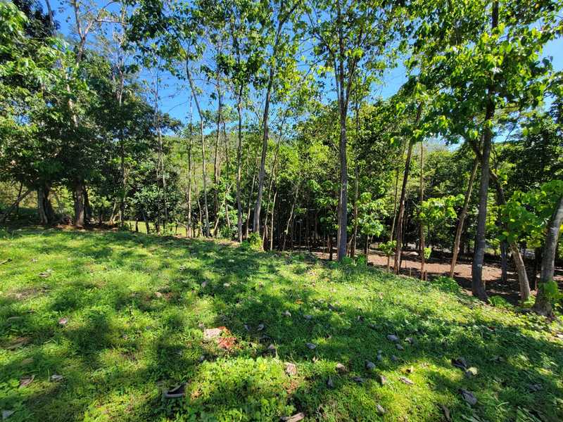 0 bed Land For Sale in Samara, Guanacaste - thumb 6