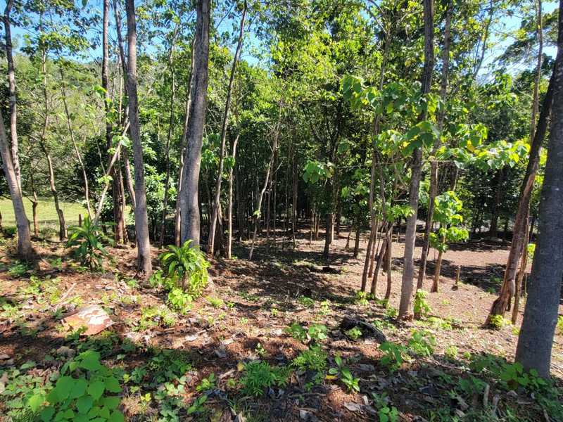 0 bed Land For Sale in Samara, Guanacaste - thumb 5