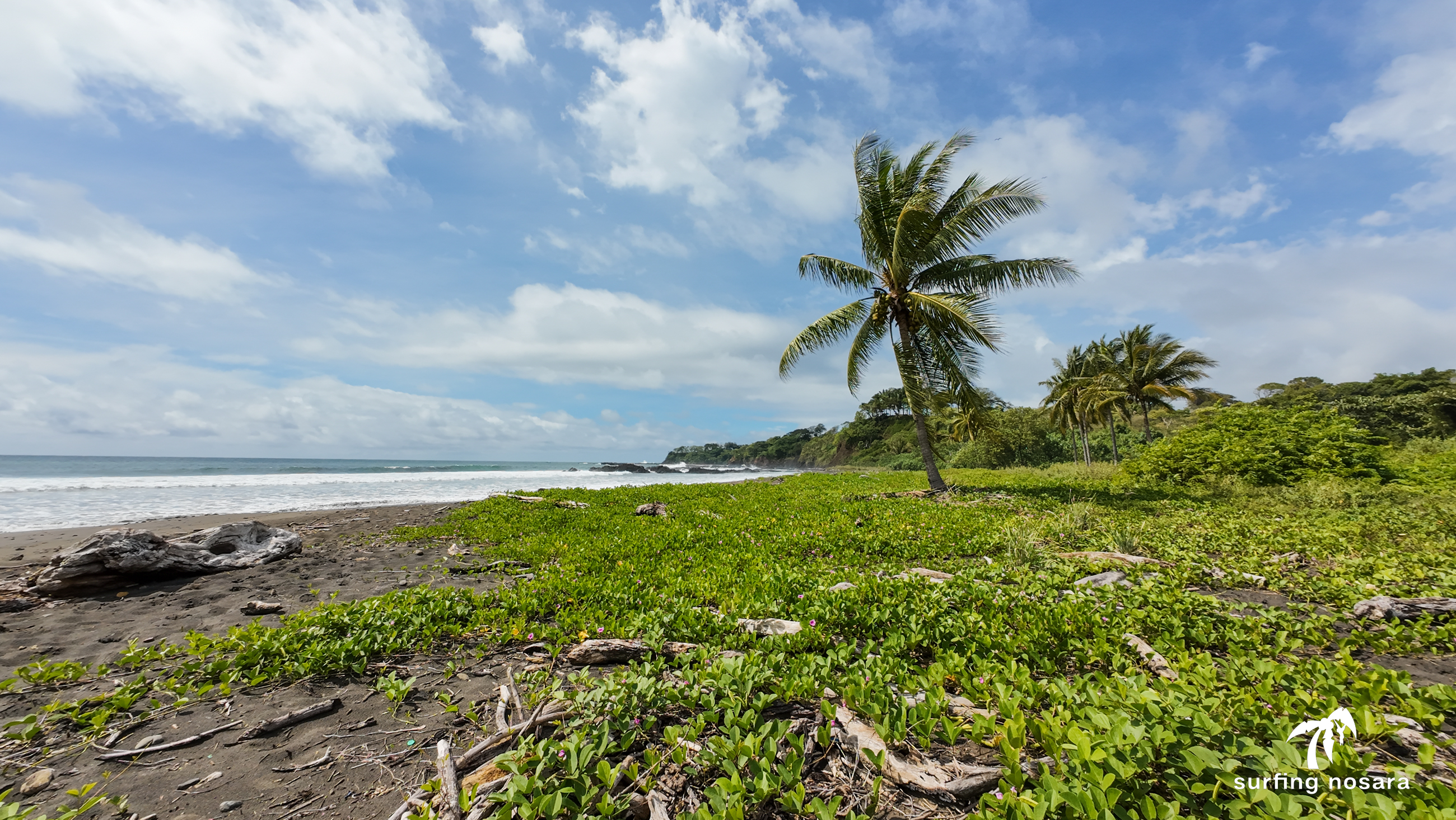 0 bed Land For Sale in Nosara, Guanacaste - thumb 6