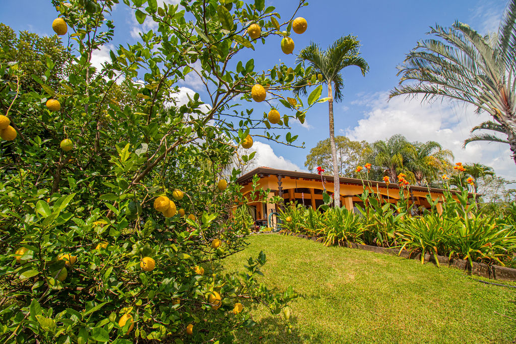 5 bed Single Family Homes For Sale in Atenas, Alajuela - thumb 23