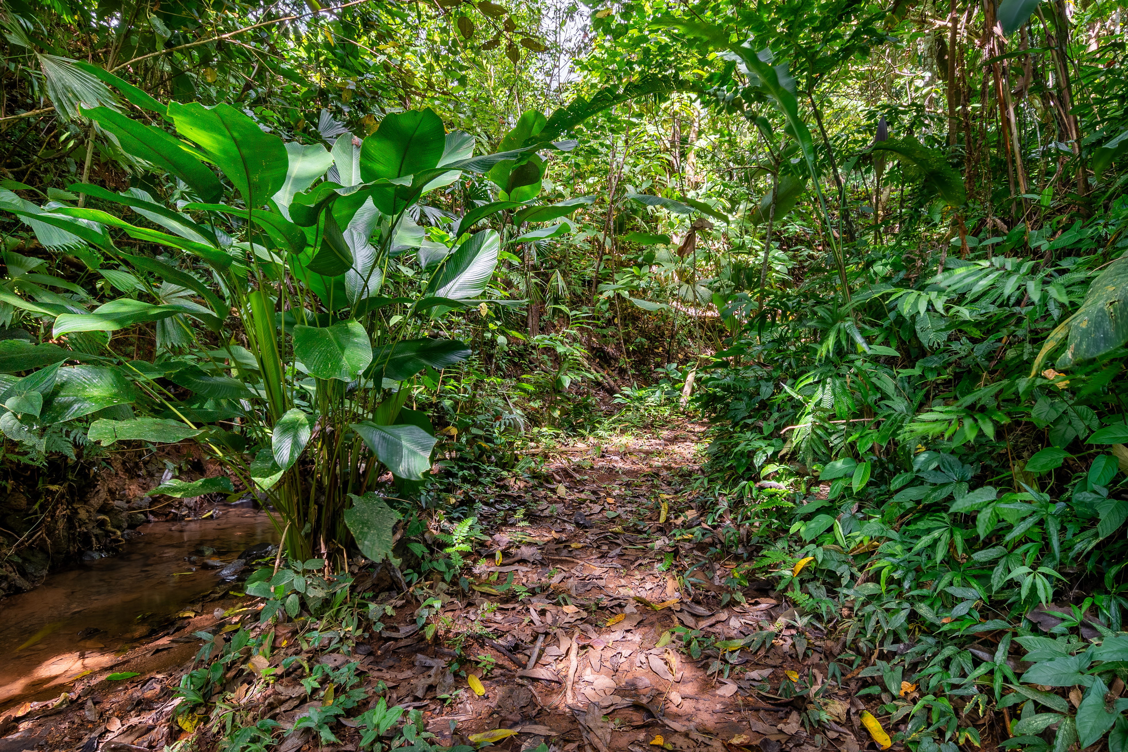 4 bed Single Family Homes For Sale in Ojochal, Puntarenas - thumb 25