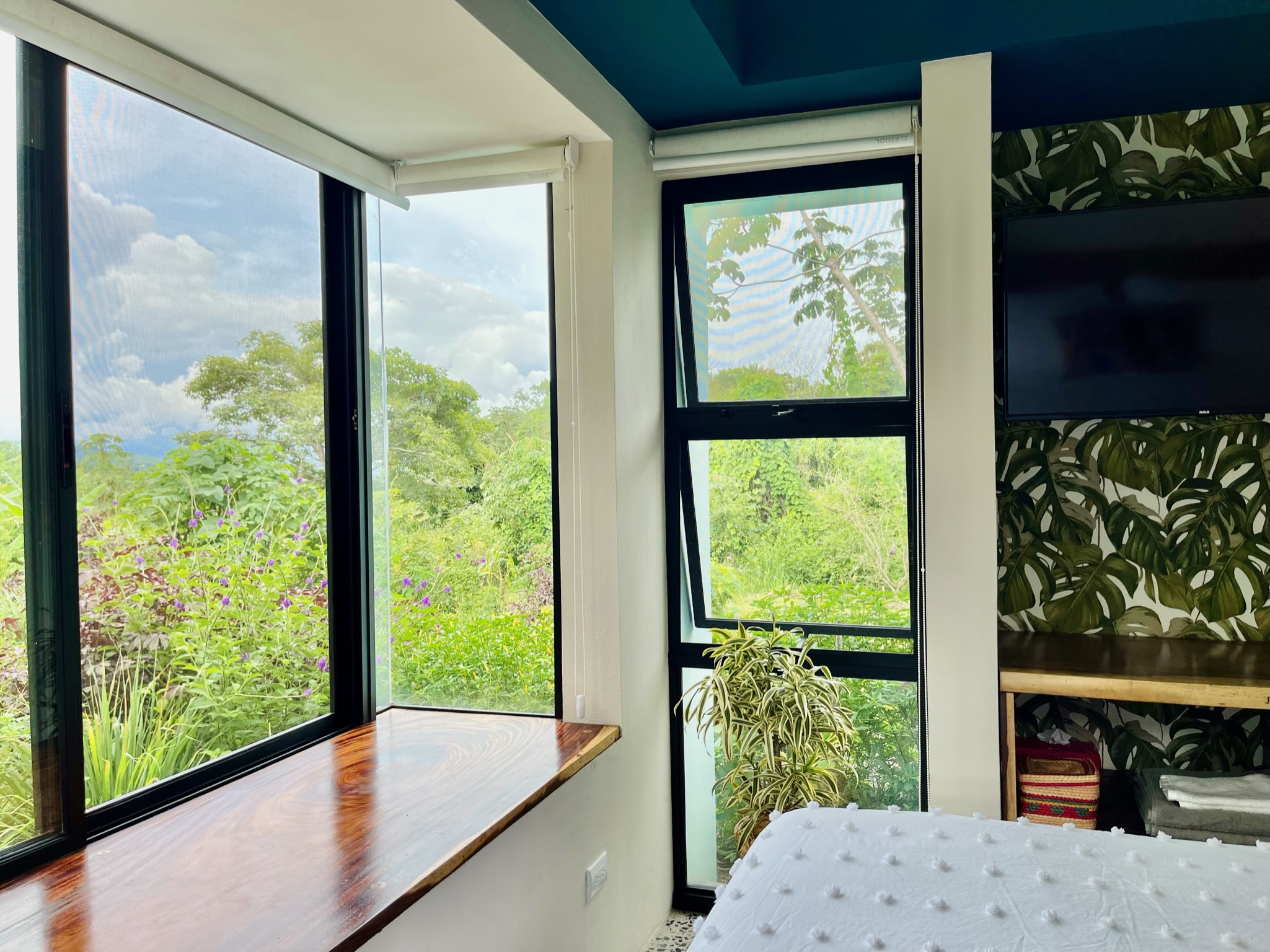 1 bed Land For Sale in Atenas, Alajuela - thumb 8