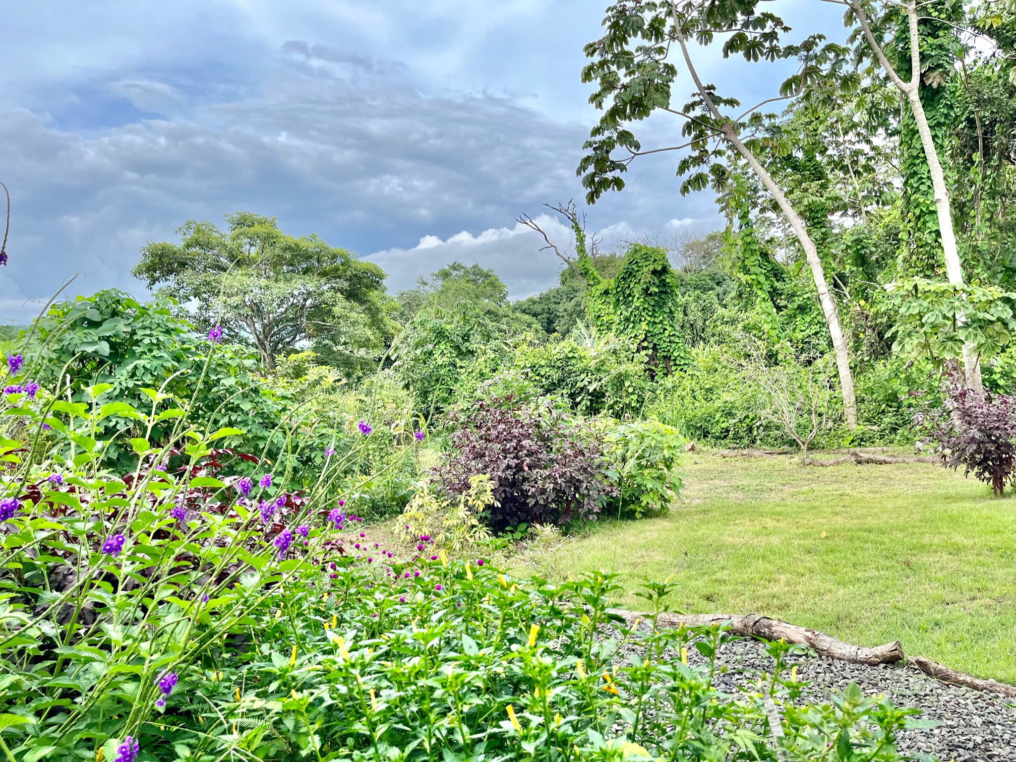 1 bed Land For Sale in Atenas, Alajuela - thumb 11