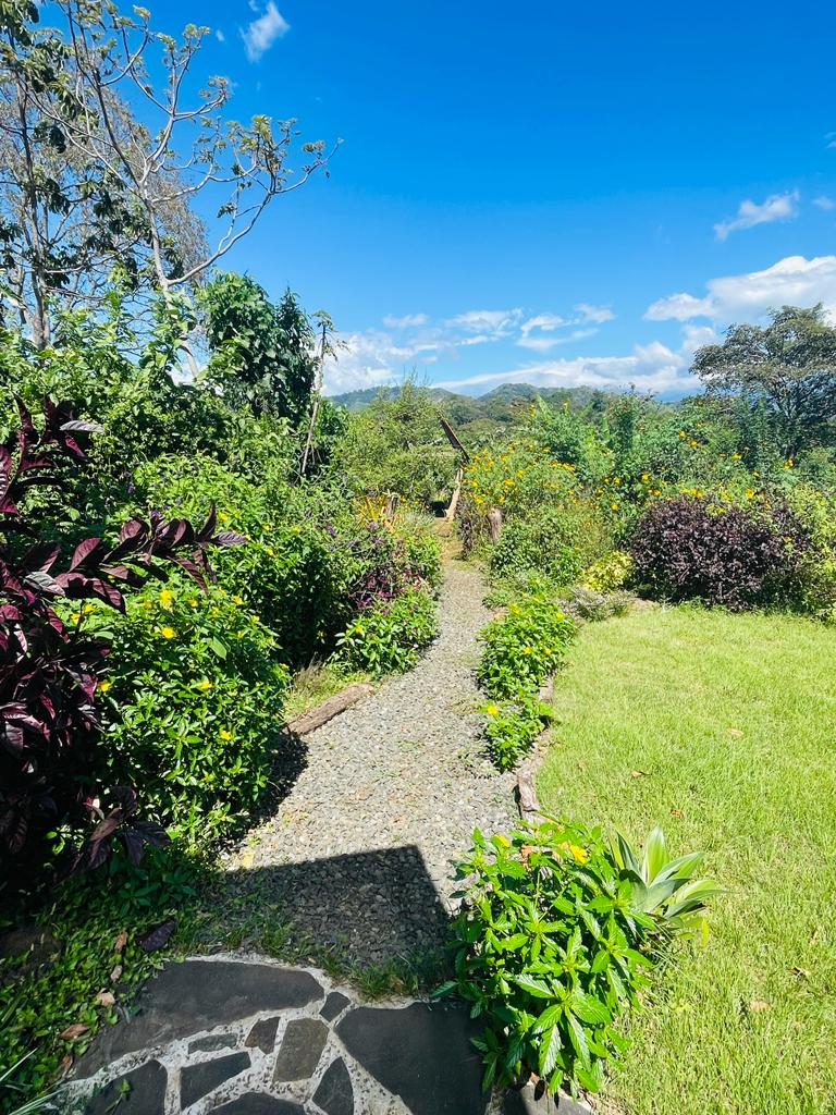 1 bed Land For Sale in Atenas, Alajuela - thumb 12
