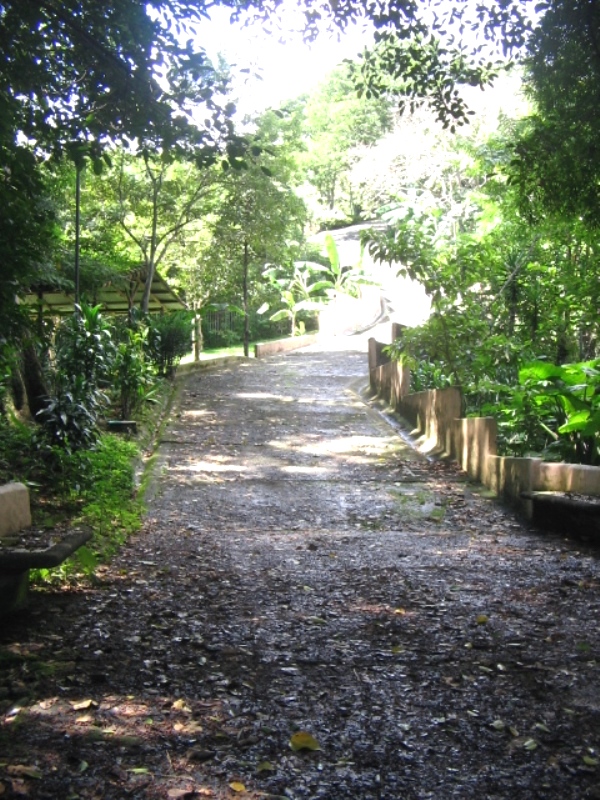 4 bed Single Family Homes For Rent in San Antonio De Escazu, San Jose - thumb 4