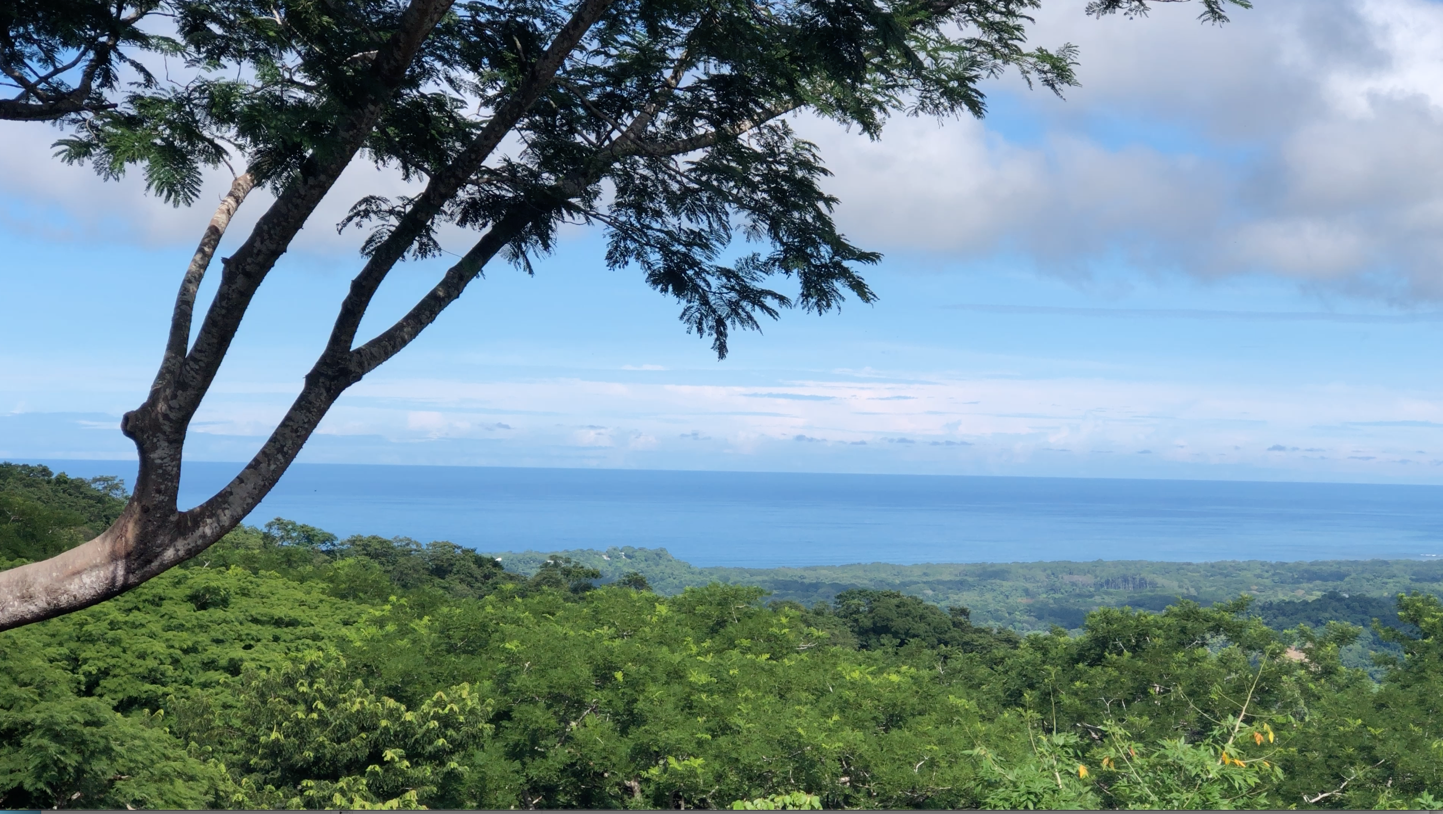 3 bed Single Family Homes For Sale in Nosara, Guanacaste - thumb 5