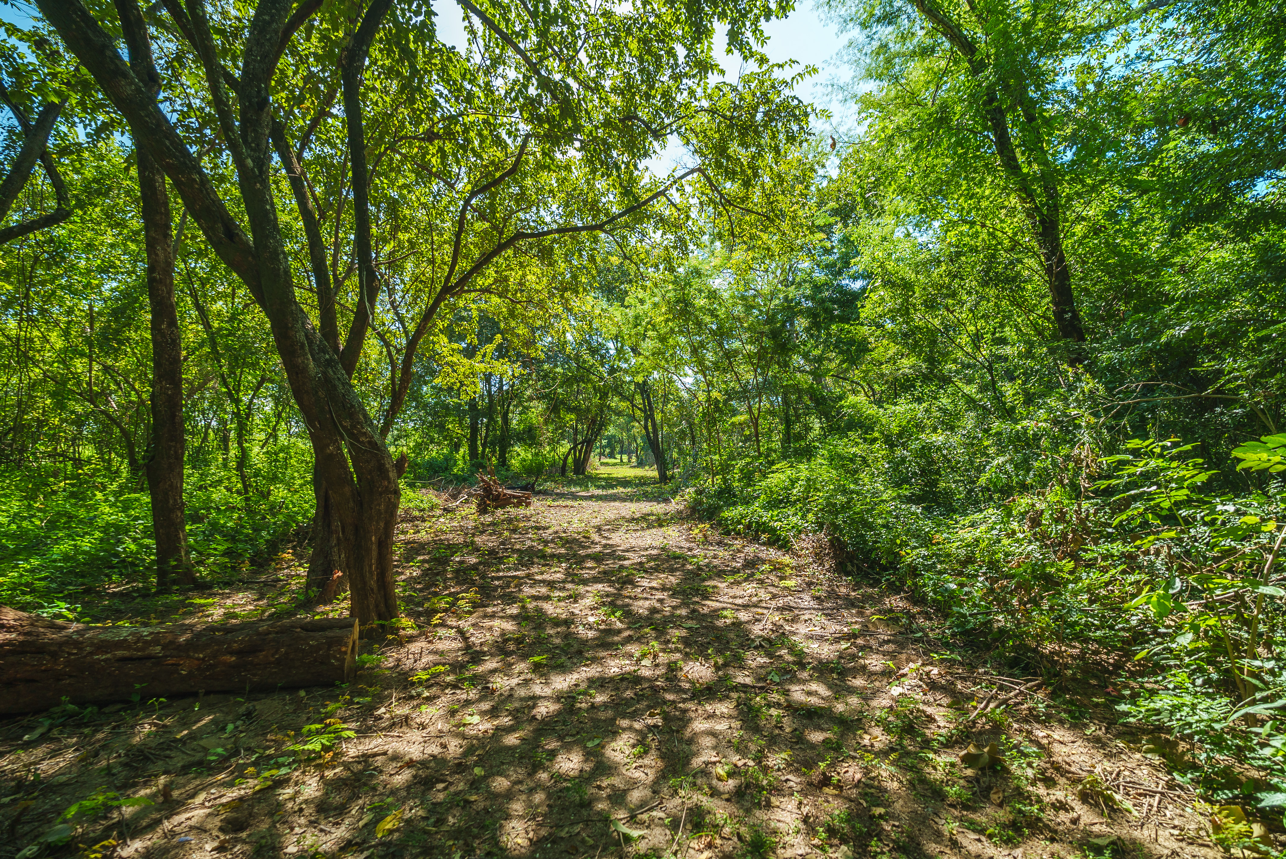 0 bed Land For Sale in Playa Grande, Guanacaste - thumb 15