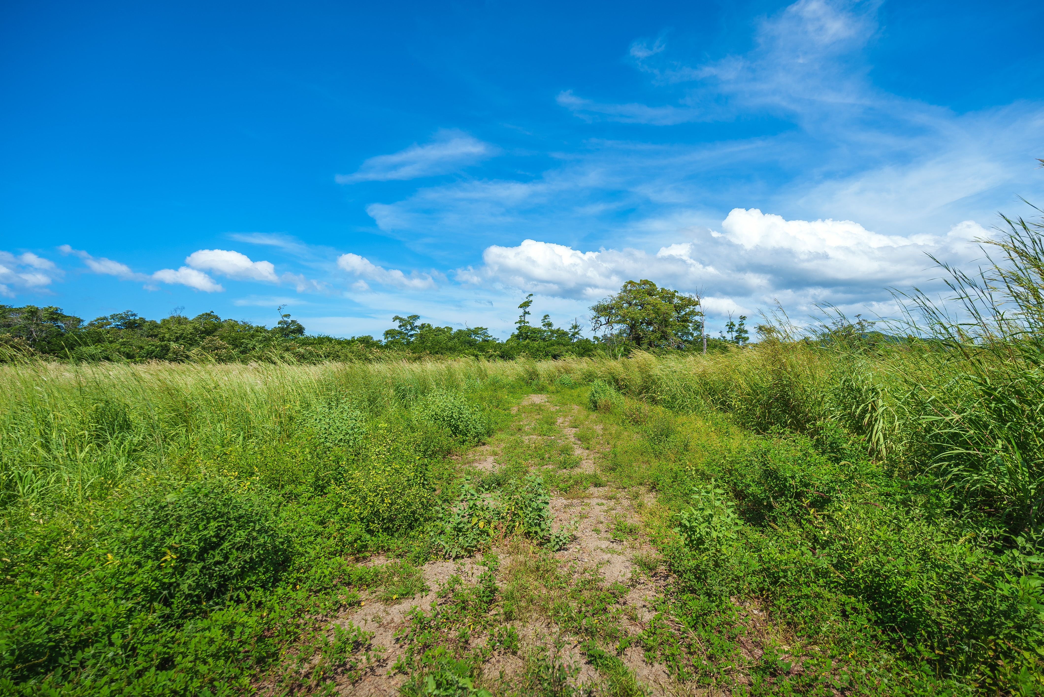 0 bed Land For Sale in Playa Grande, Guanacaste - thumb 13