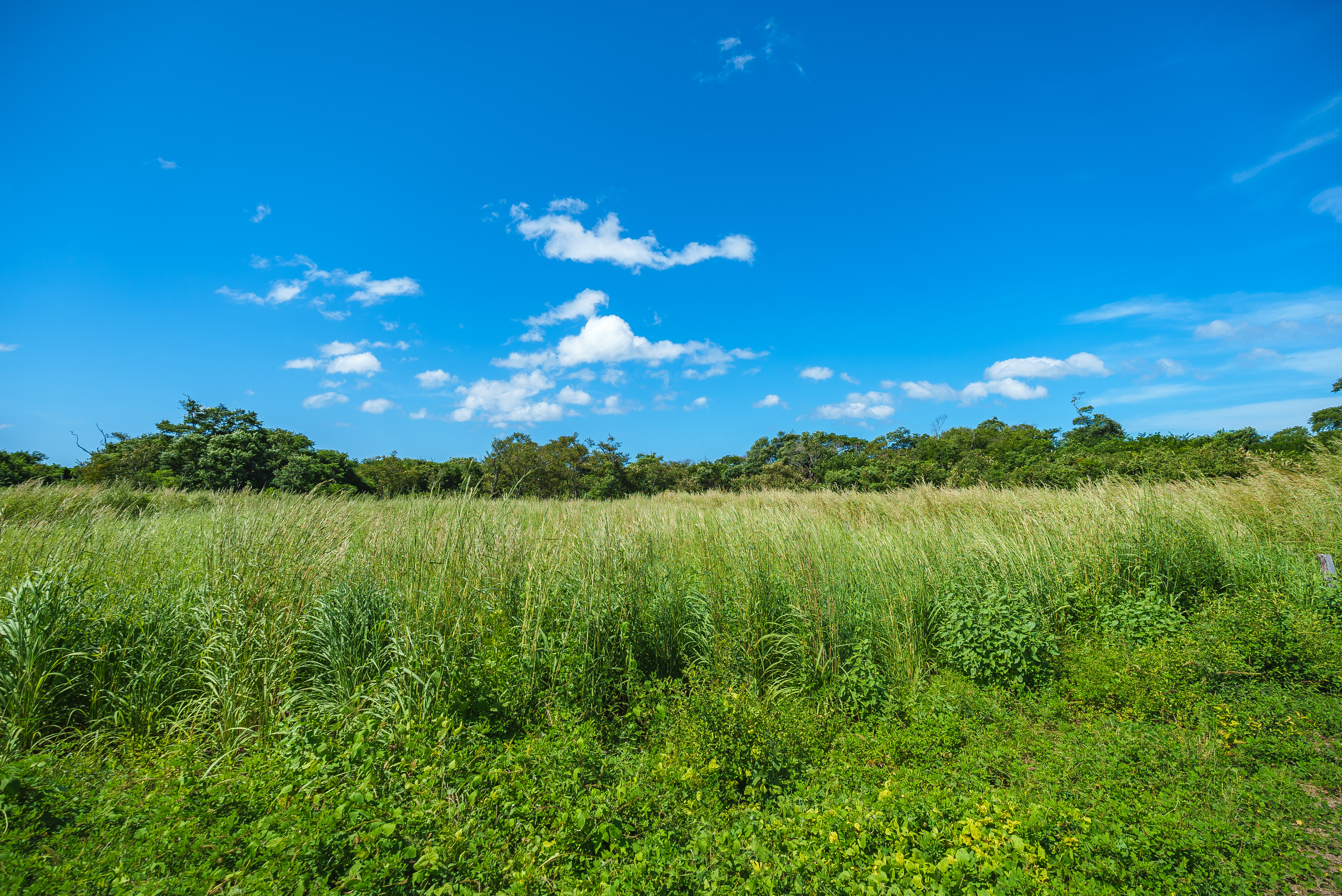 0 bed Land For Sale in Playa Grande, Guanacaste - thumb 14