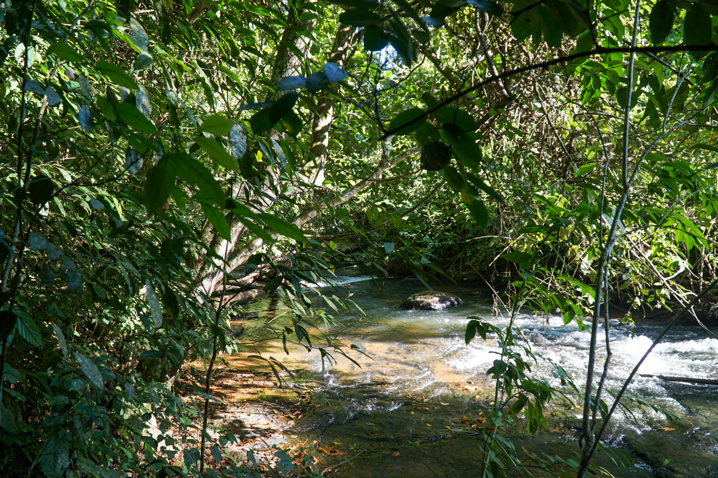 4 bed Single Family Homes For Sale in Perez Zeledon, San Jose - thumb 14