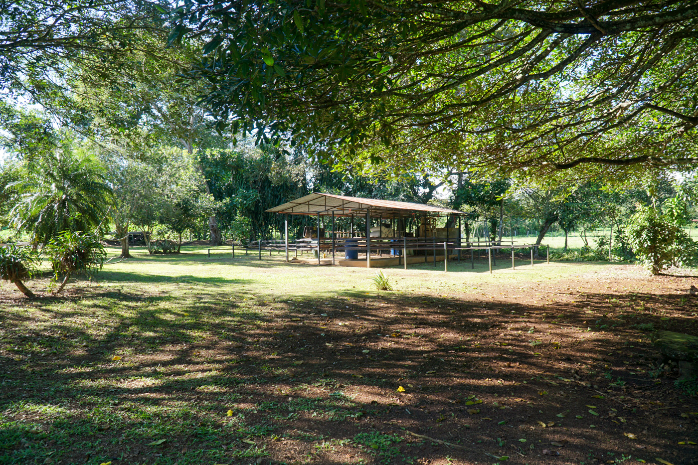 4 bed Single Family Homes For Sale in Perez Zeledon, San Jose - thumb 11