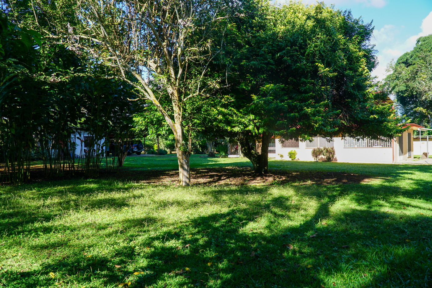 4 bed Single Family Homes For Sale in Perez Zeledon, San Jose - thumb 7