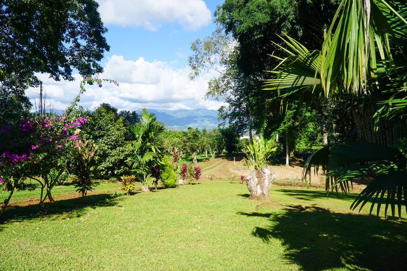 4 bed Single Family Homes For Sale in Perez Zeledon, San Jose - thumb 9