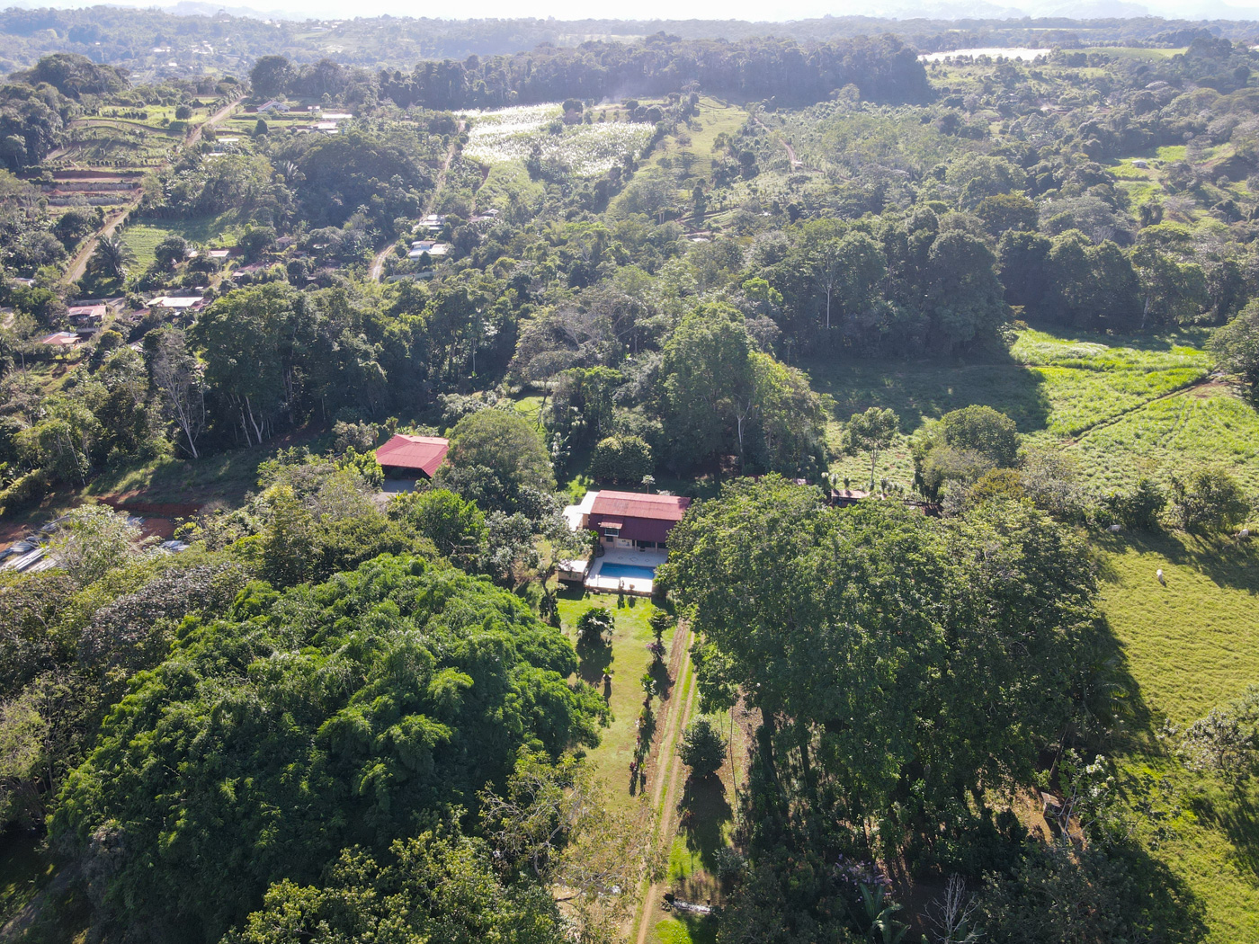 4 bed Single Family Homes For Sale in Perez Zeledon, San Jose - thumb 3