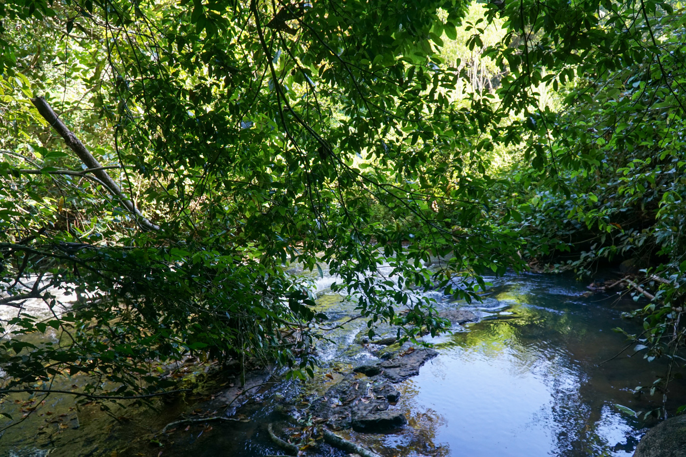 4 bed Single Family Homes For Sale in Perez Zeledon, San Jose - thumb 13