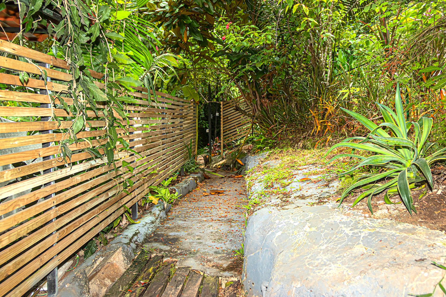 11 bed Commercial For Sale in Manuel Antonio, Puntarenas - thumb 10