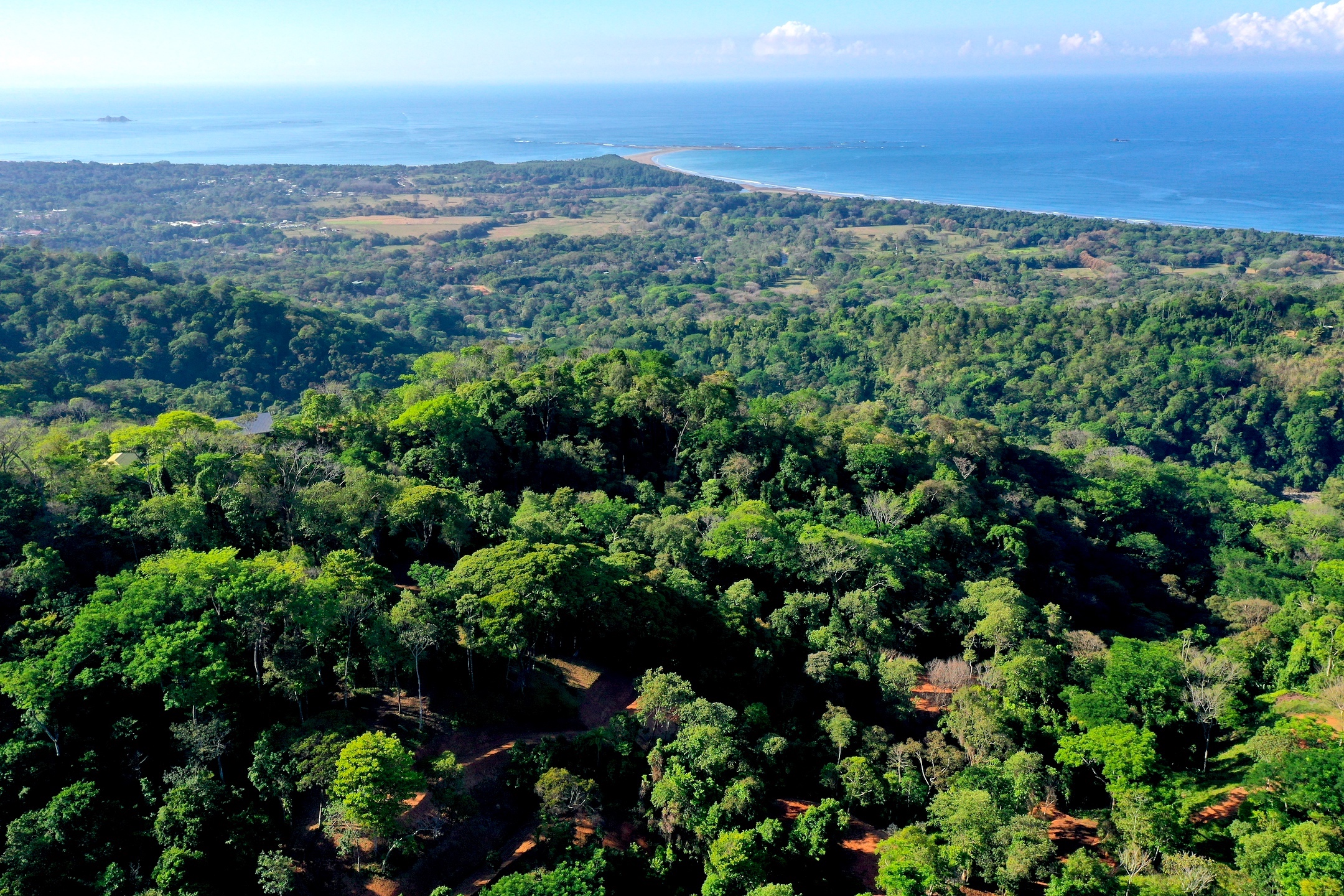 0 bed Land For Sale in Uvita, Puntarenas - thumb 1