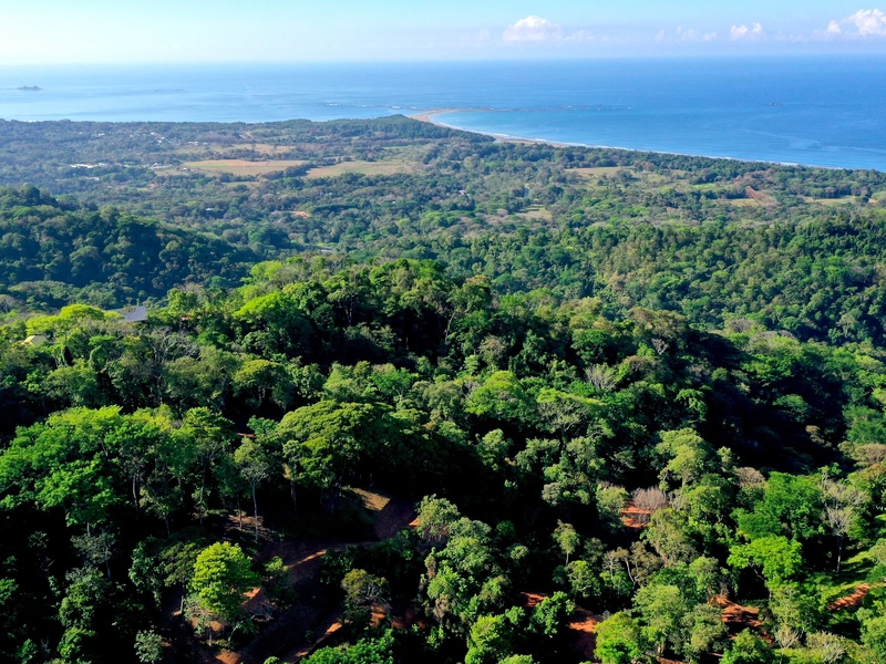 0 bed Land For Sale in Uvita, Puntarenas - thumb 1