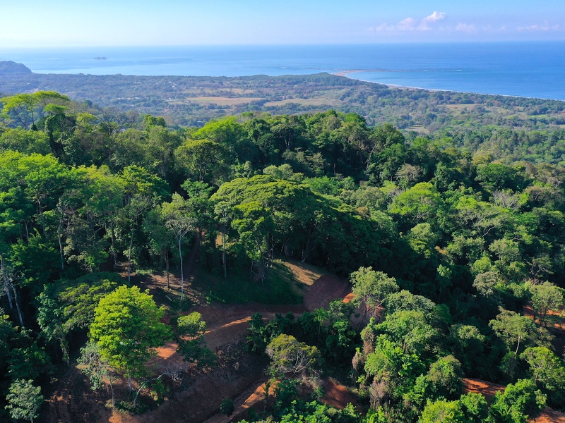 0 bed Land For Sale in Uvita, Puntarenas - thumb 5