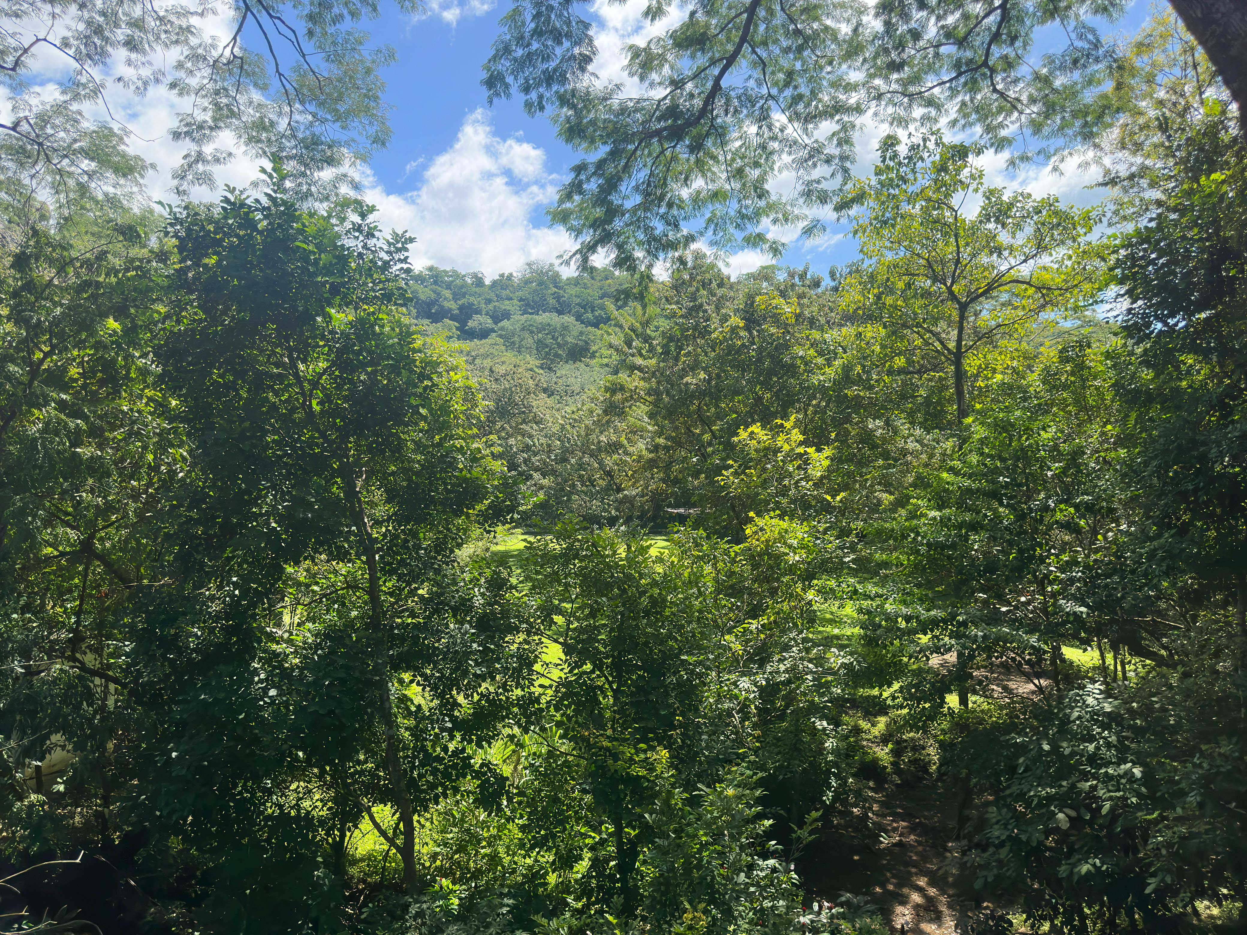 3 bed Single Family Homes For Sale in Samara, Guanacaste - thumb 27