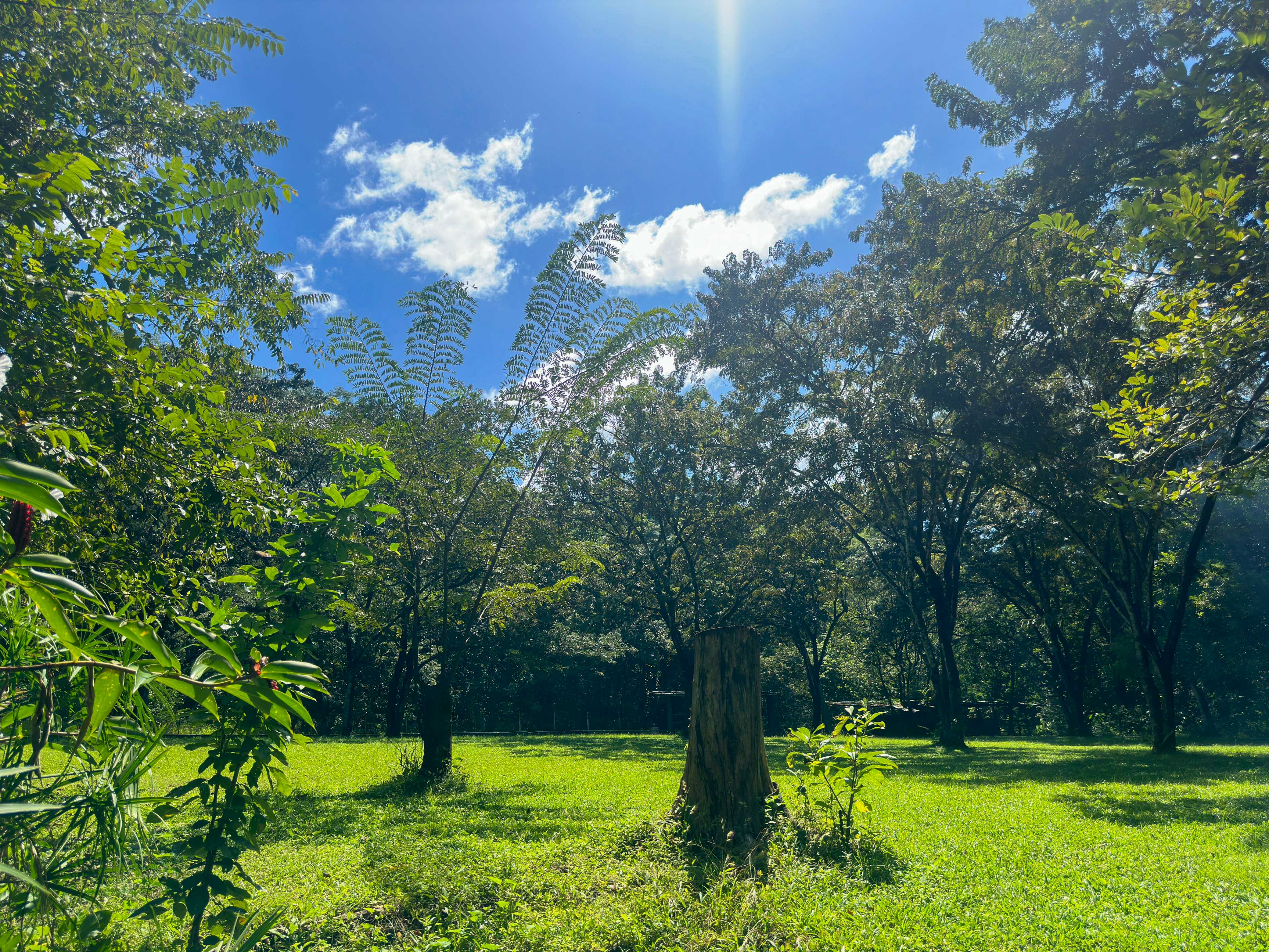 3 bed Single Family Homes For Sale in Samara, Guanacaste - thumb 30