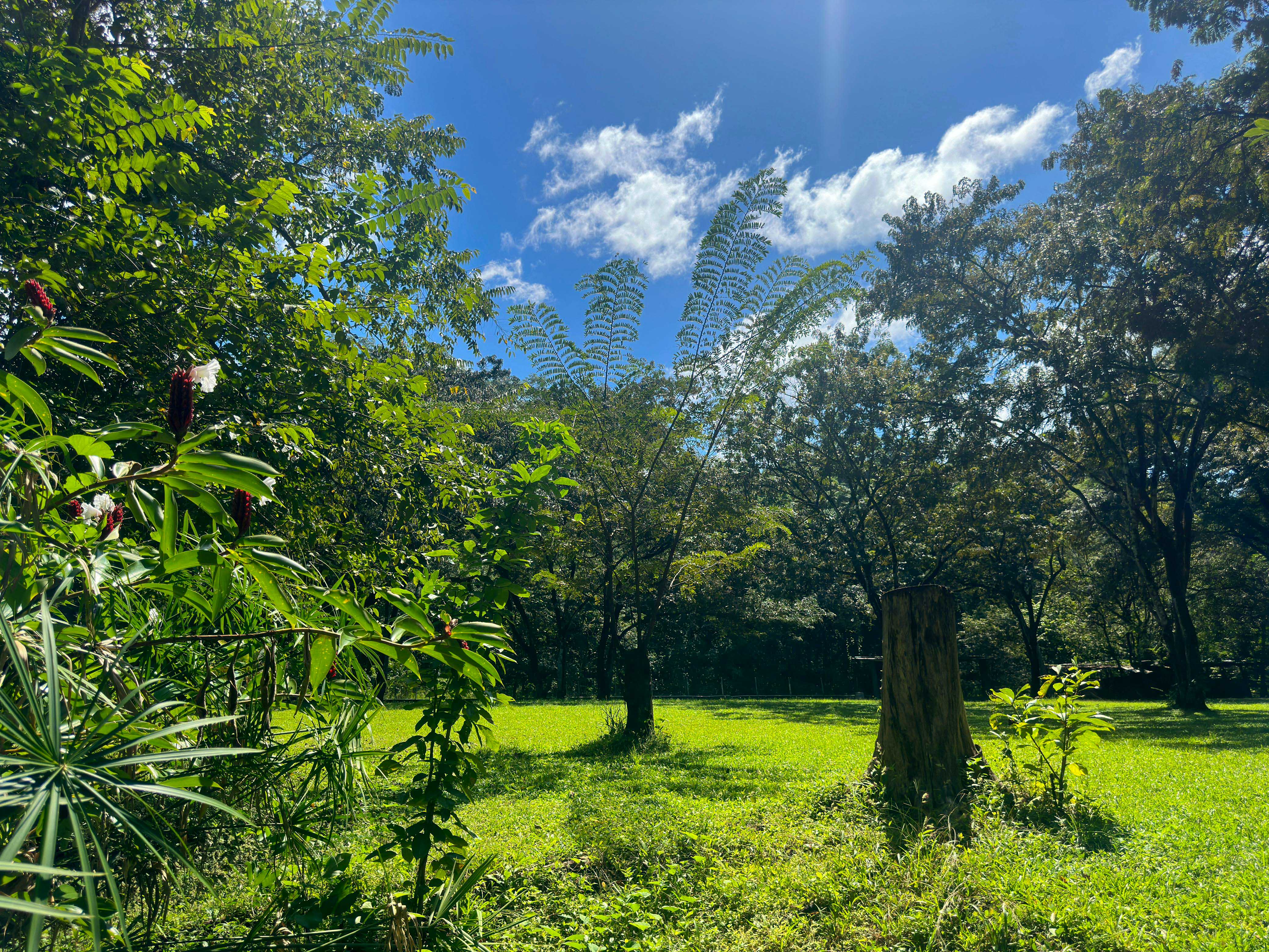 3 bed Single Family Homes For Sale in Samara, Guanacaste - thumb 28