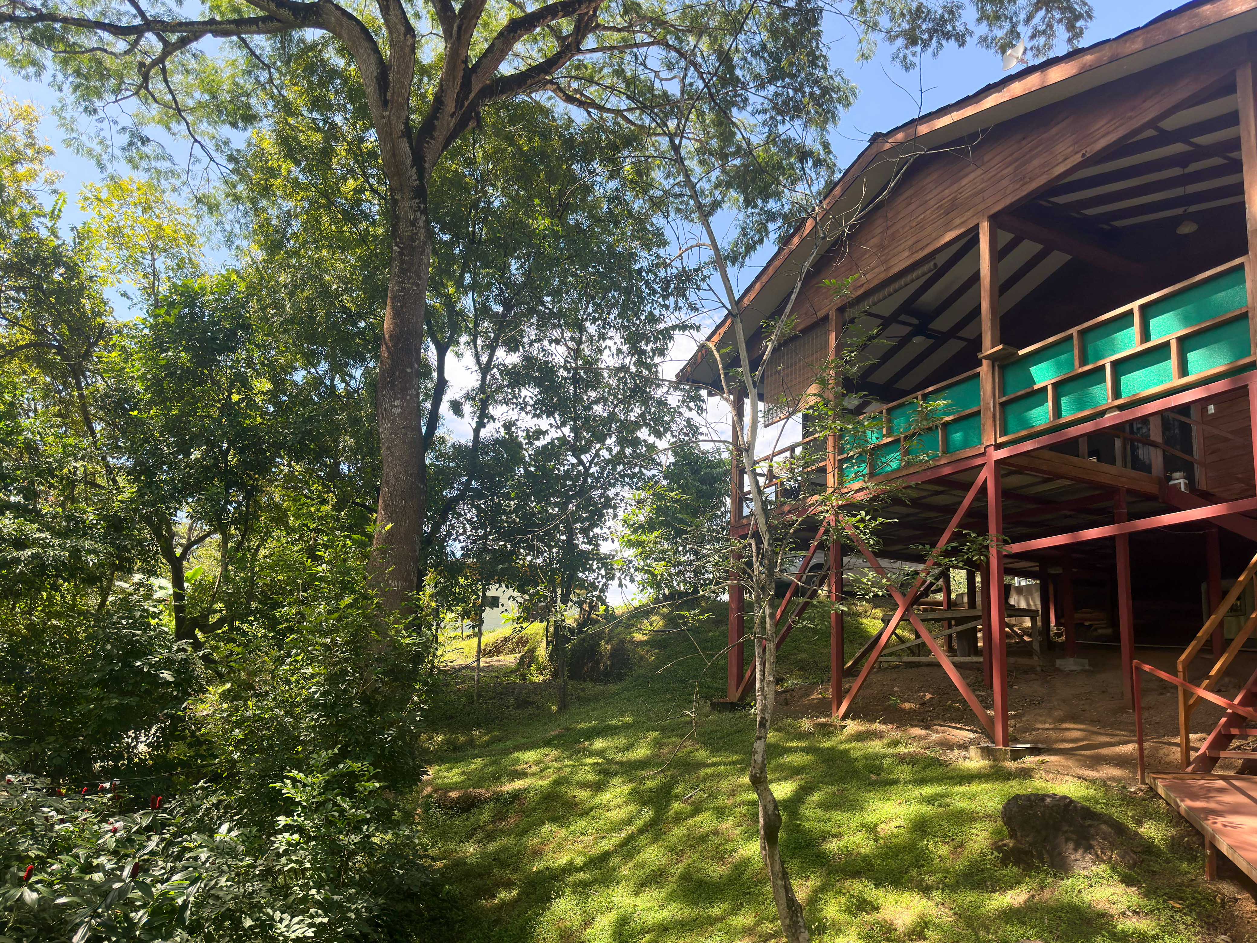 3 bed Single Family Homes For Sale in Samara, Guanacaste - thumb 29