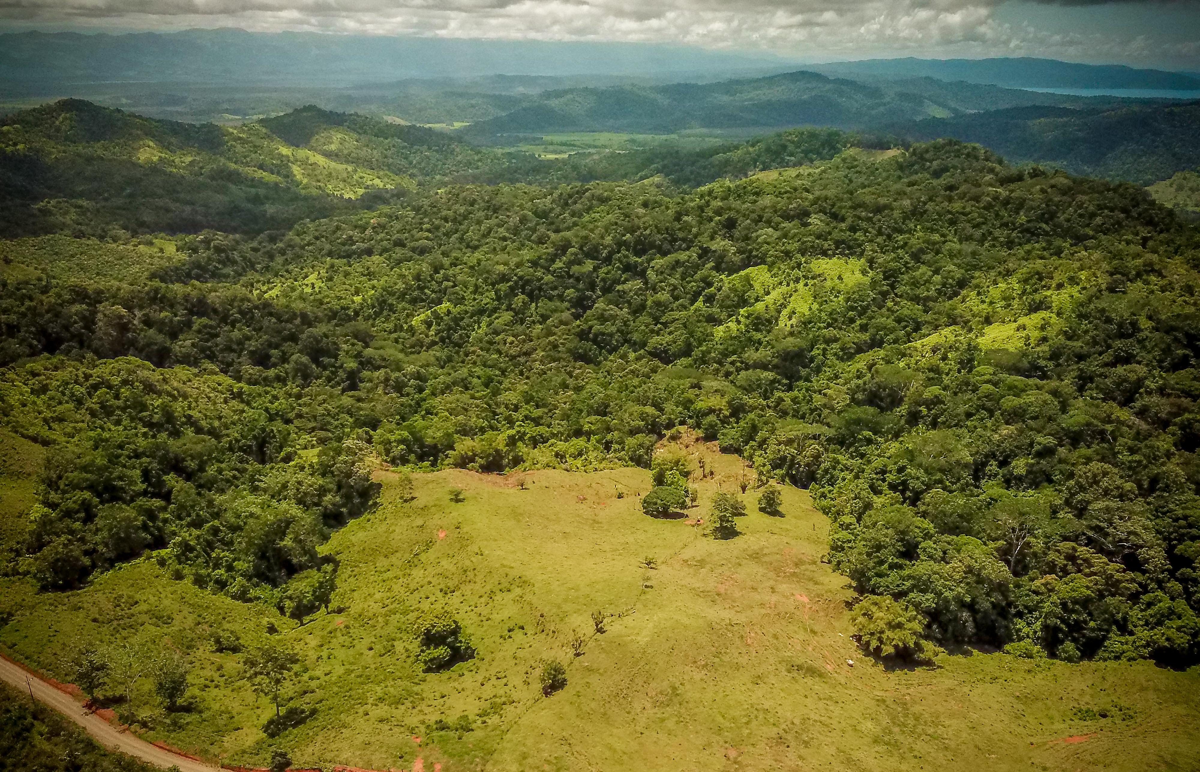 0 bed Land For Sale in Sierpe, Puntarenas - thumb 4