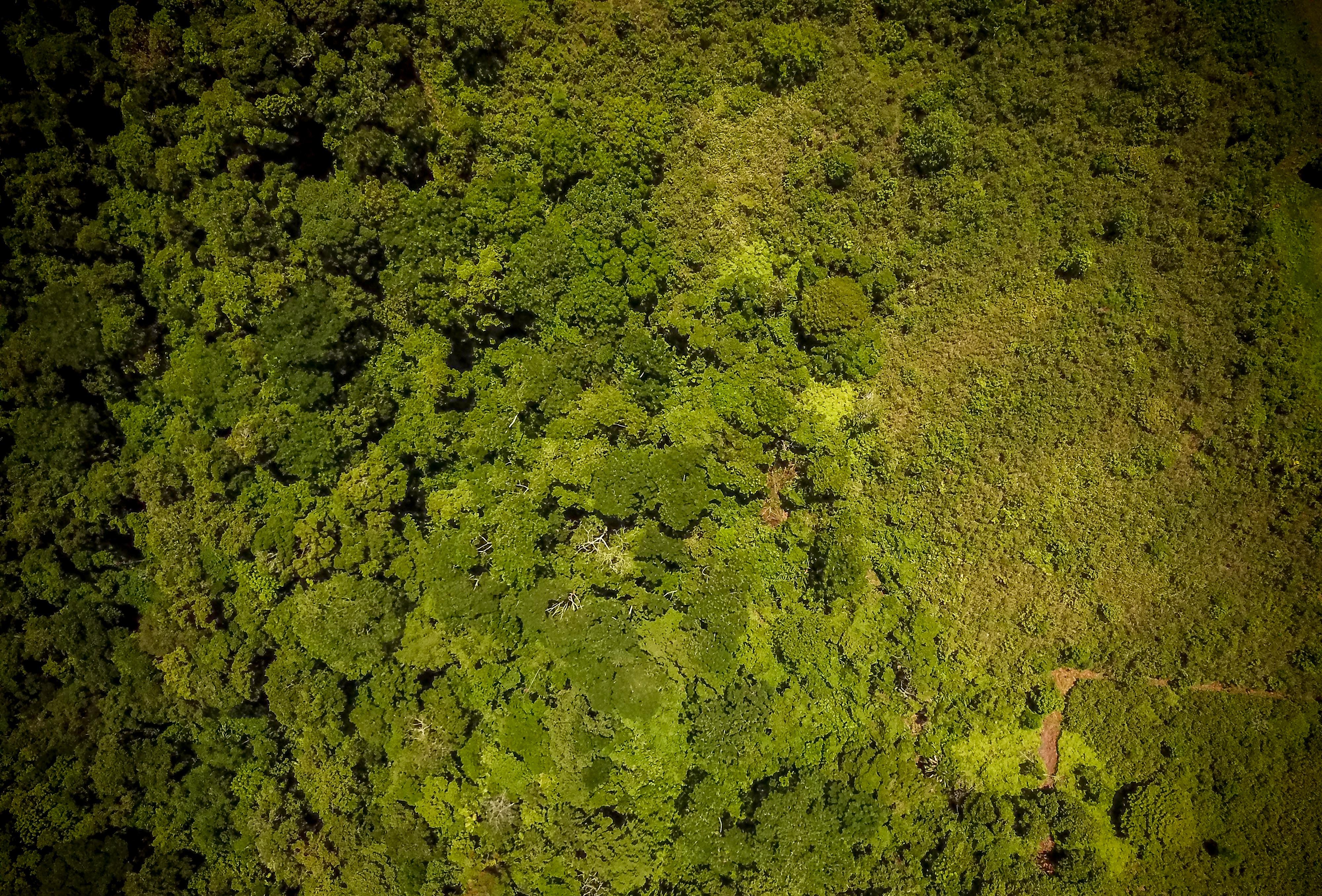 0 bed Land For Sale in Sierpe, Puntarenas - thumb 3