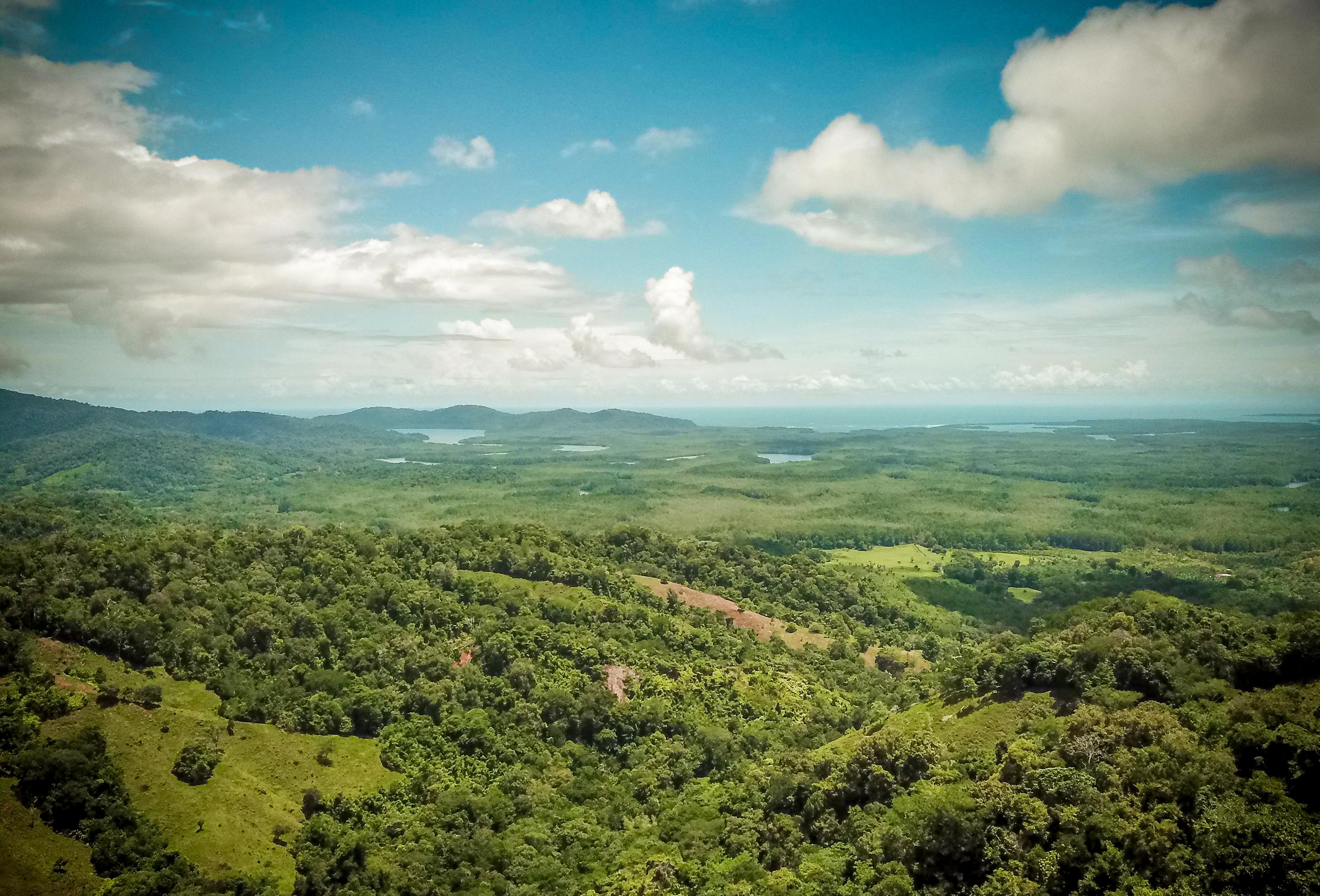 0 bed Land For Sale in Sierpe, Puntarenas - thumb 7