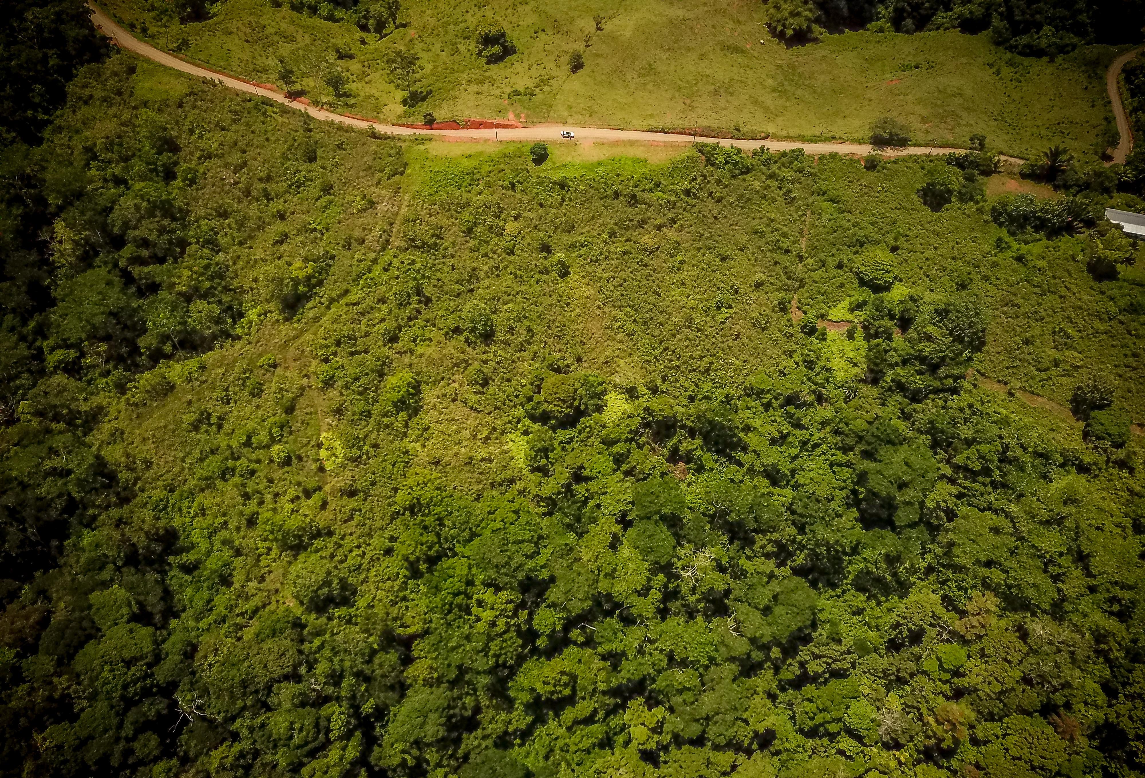 0 bed Land For Sale in Sierpe, Puntarenas - thumb 2