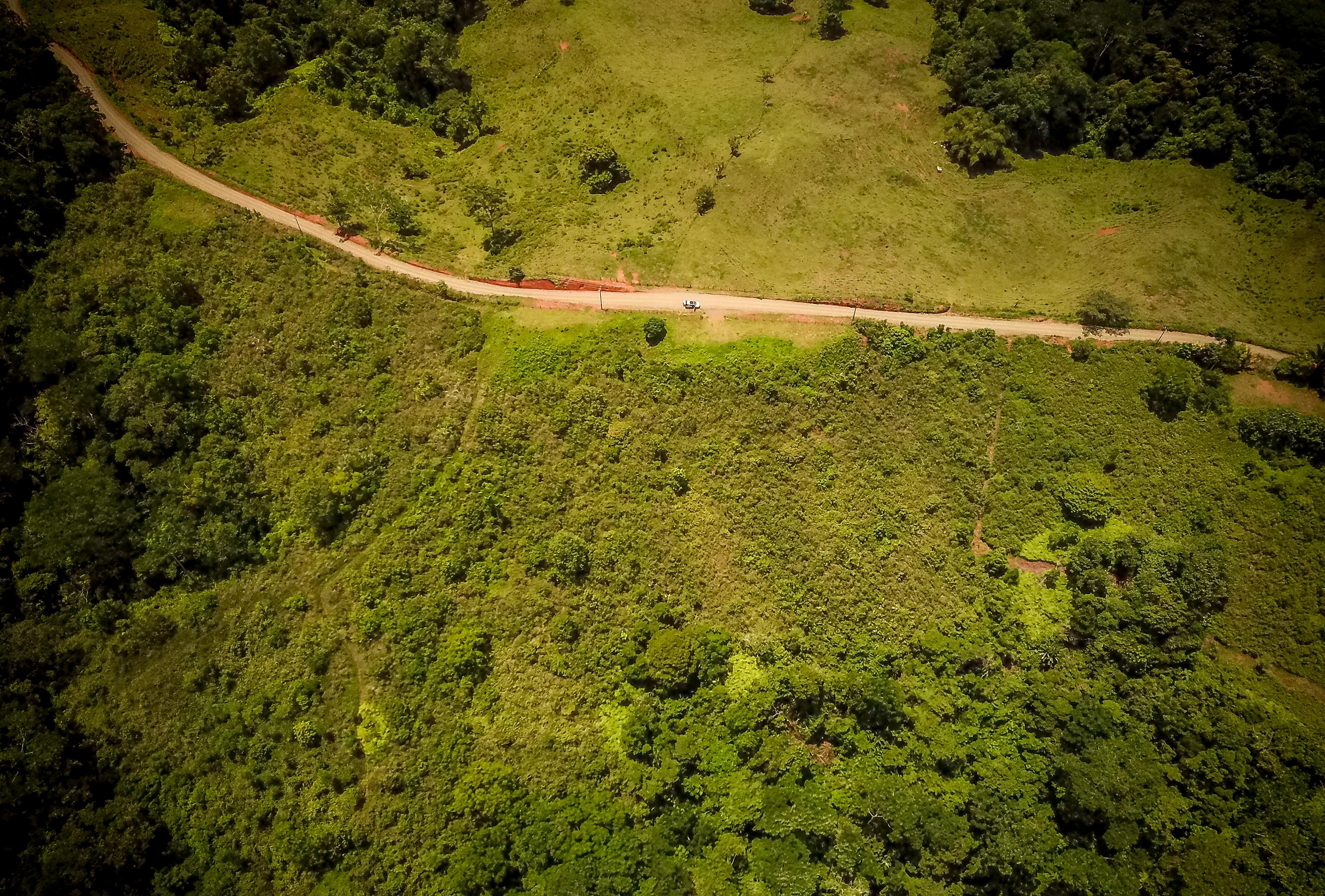 0 bed Land For Sale in Sierpe, Puntarenas - thumb 1