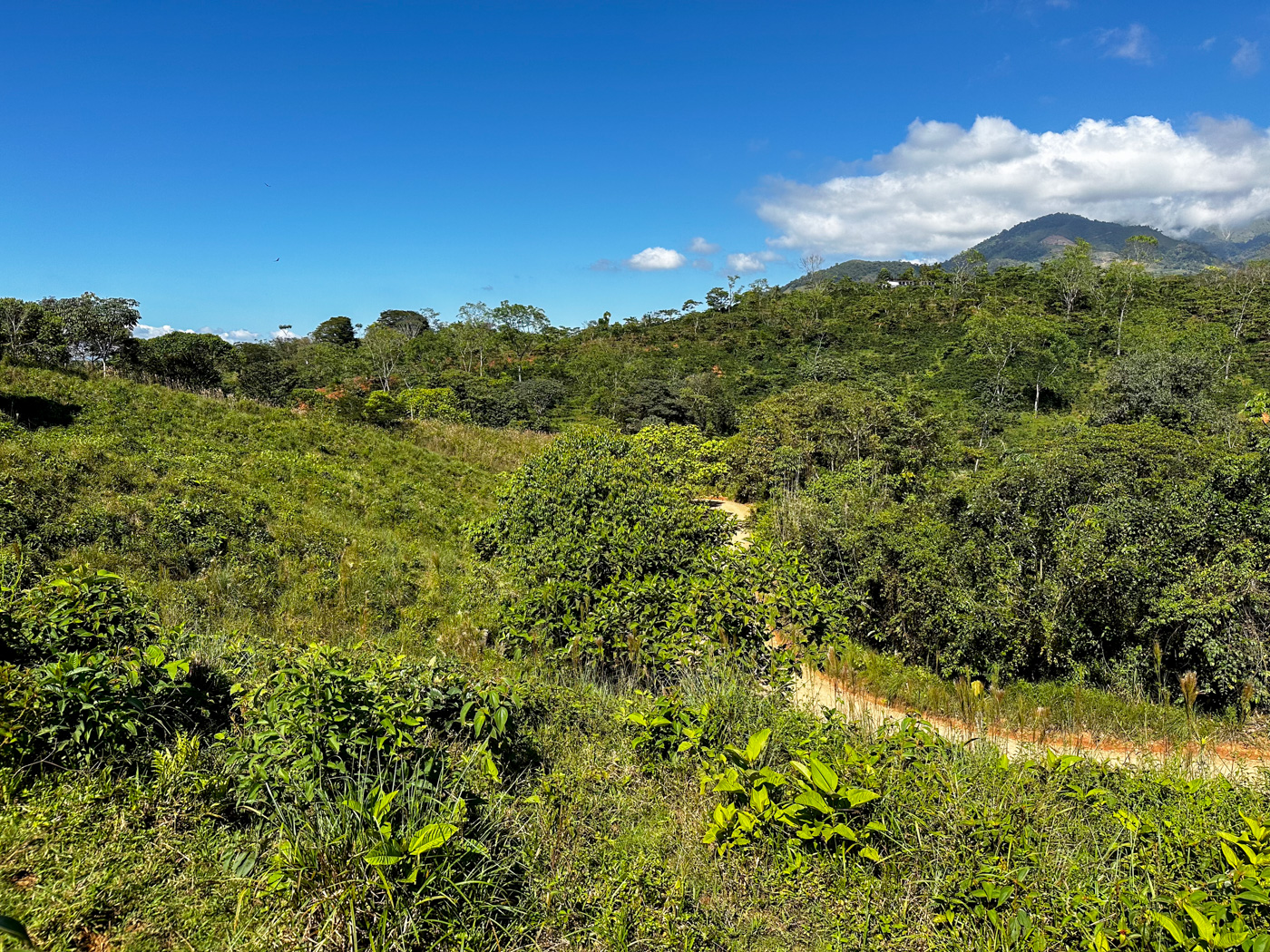 0 bed Land For Sale in Perez Zeledon, San Jose - thumb 17