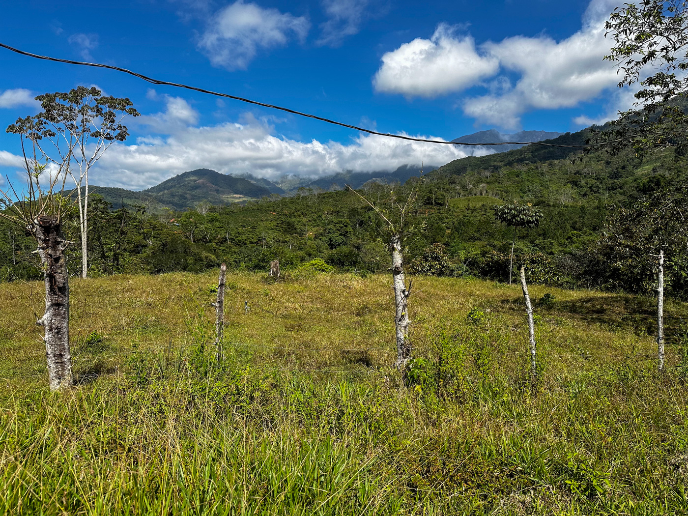 0 bed Land For Sale in Perez Zeledon, San Jose - thumb 20