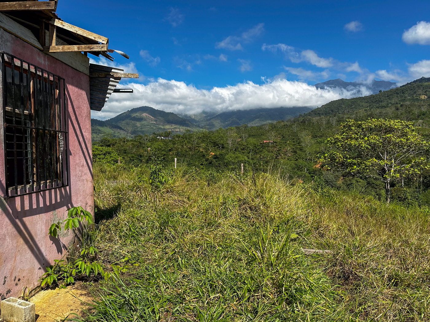 0 bed Land For Sale in Perez Zeledon, San Jose - thumb 13