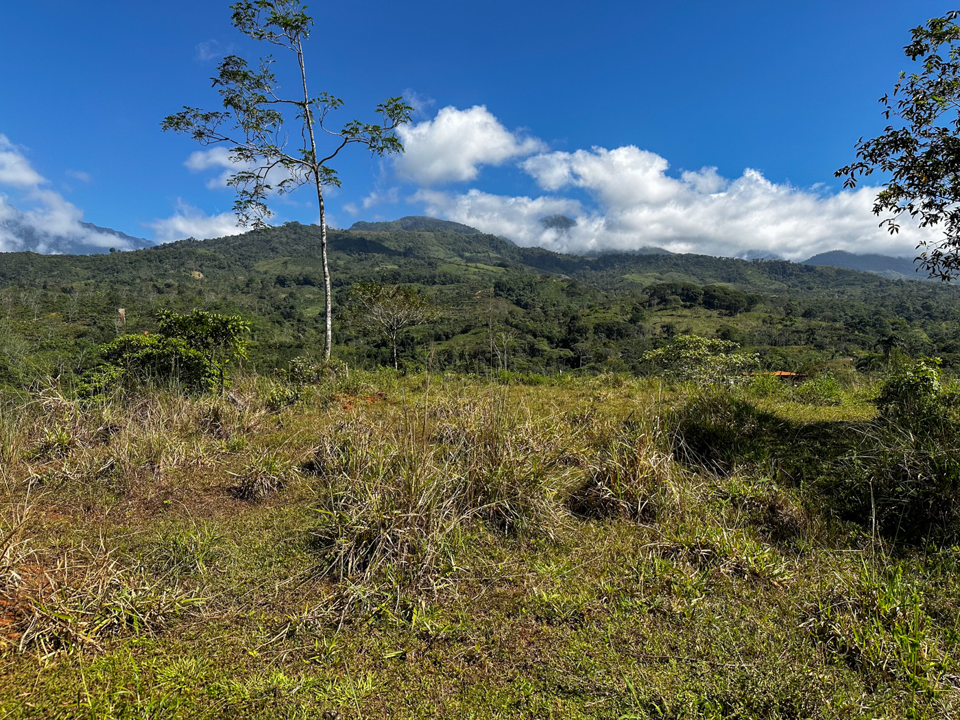 0 bed Land For Sale in Perez Zeledon, San Jose - thumb 9