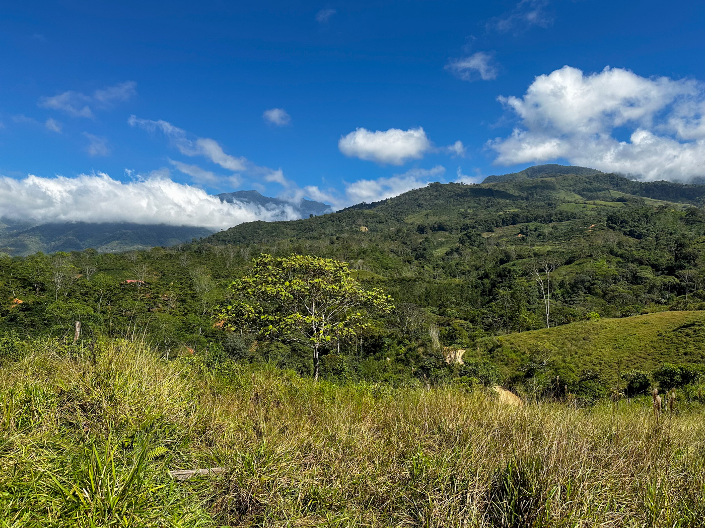 0 bed Land For Sale in Perez Zeledon, San Jose - thumb 14