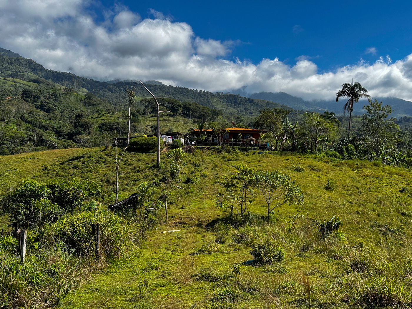 0 bed Land For Sale in Perez Zeledon, San Jose - thumb 15