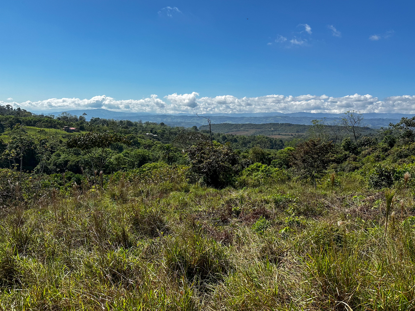 0 bed Land For Sale in Perez Zeledon, San Jose - thumb 12