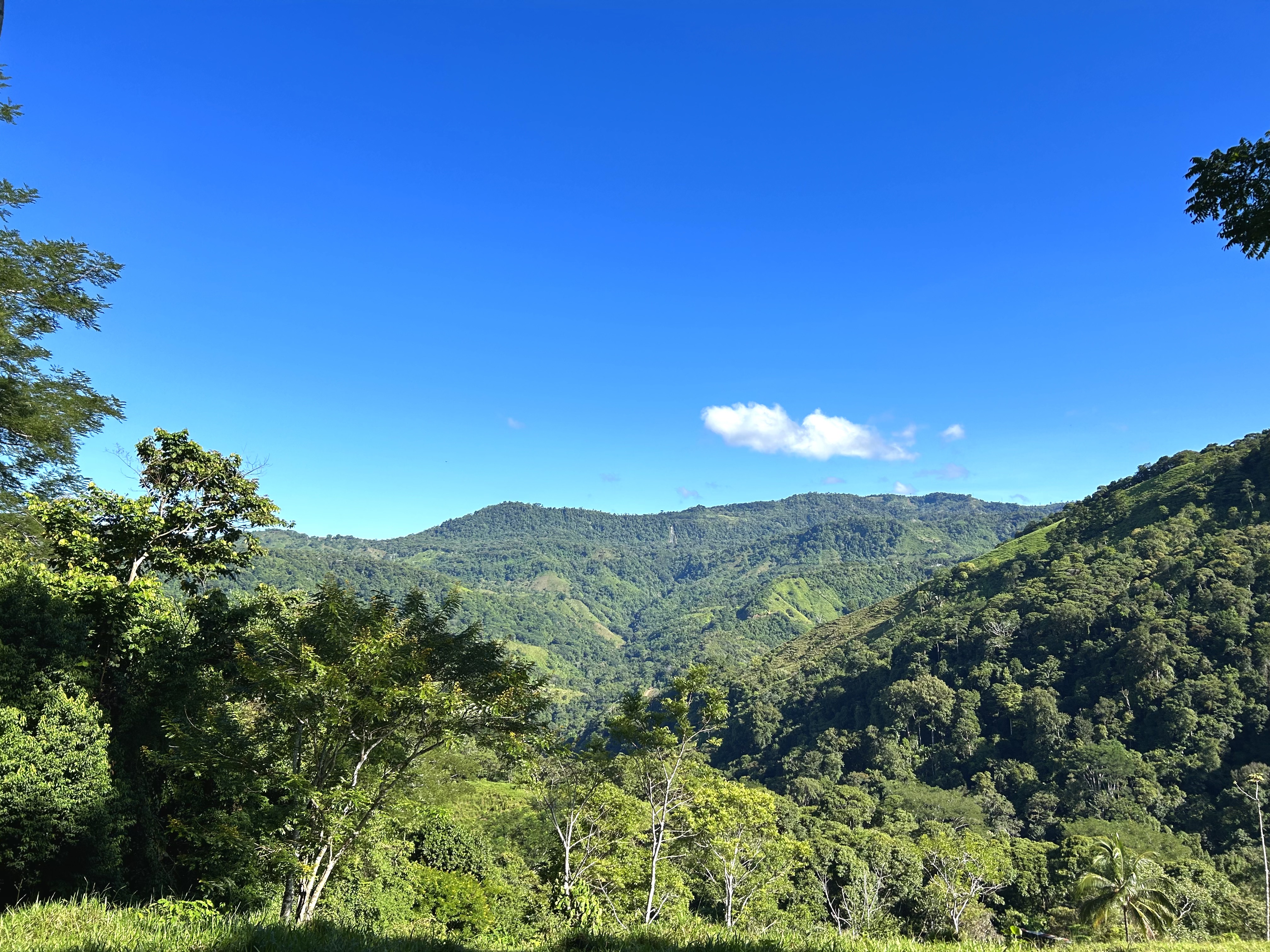 0 bed Land For Sale in Uvita, Puntarenas - thumb 29