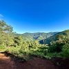  - Over 123 Acres Farm in San Josecito De Morete, in Uvita Mountains