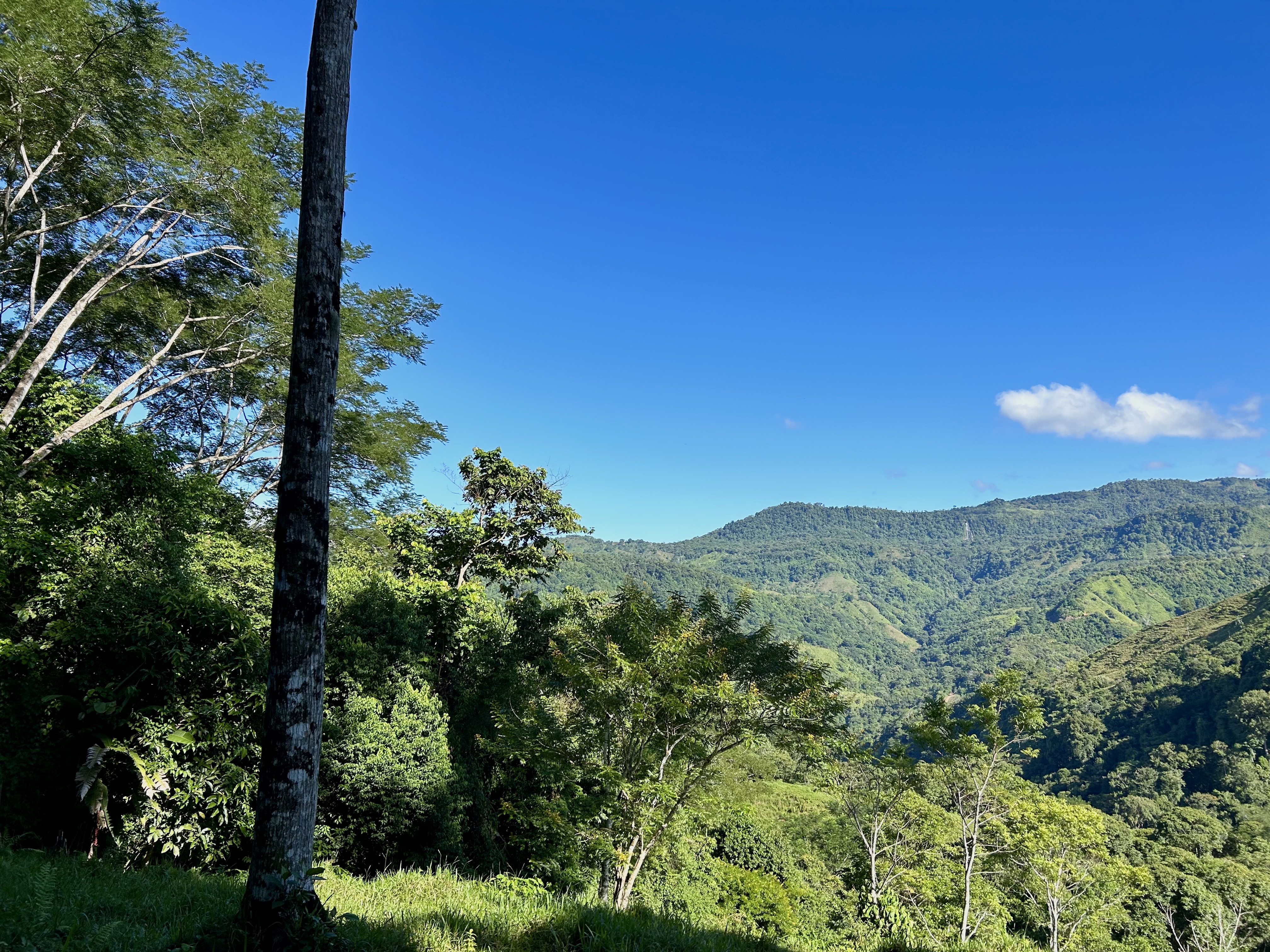 0 bed Land For Sale in Uvita, Puntarenas - thumb 28