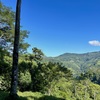  - Over 123 Acres Farm in San Josecito De Morete, in Uvita Mountains