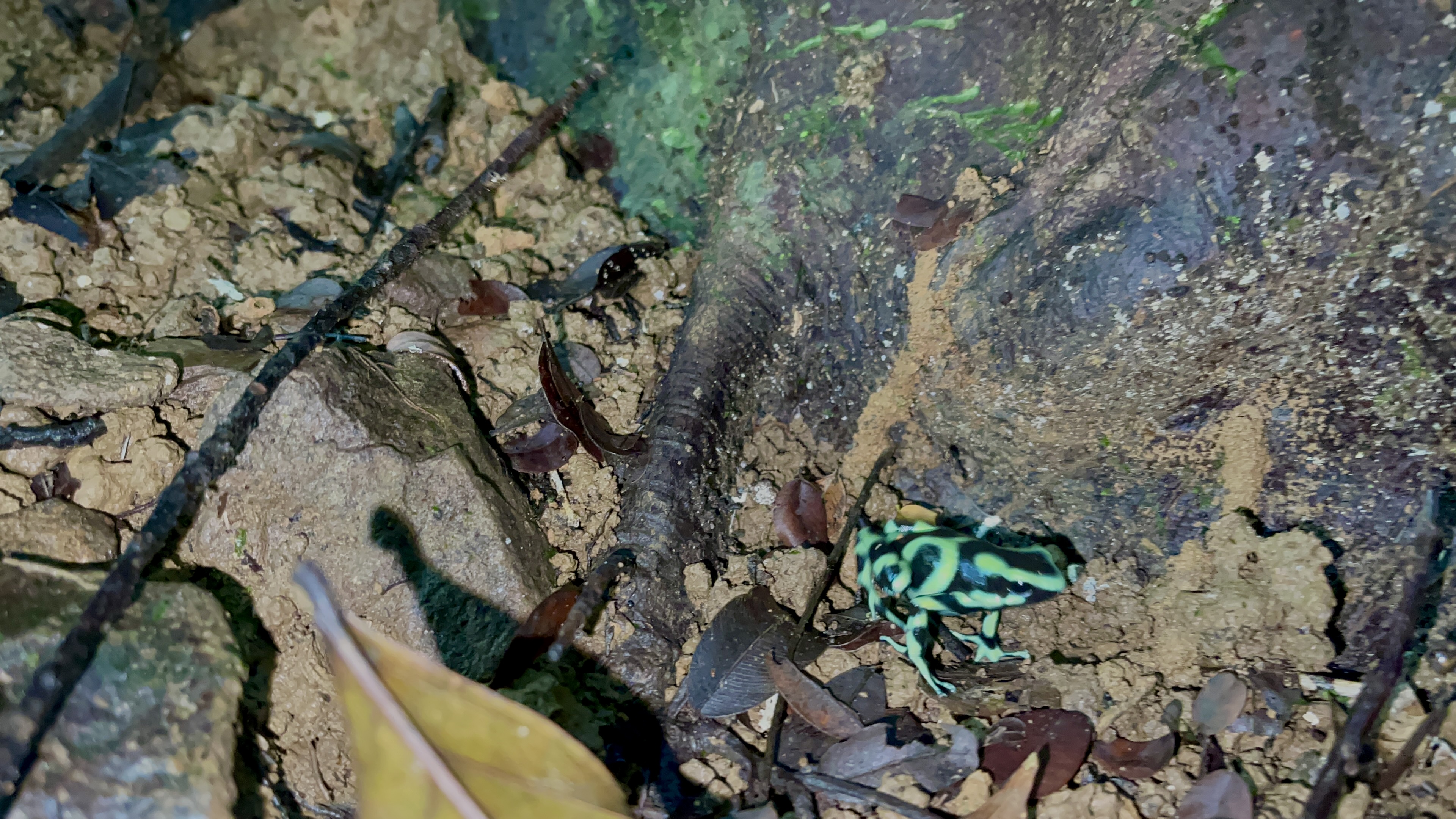 0 bed Land For Sale in Uvita, Puntarenas - thumb 5