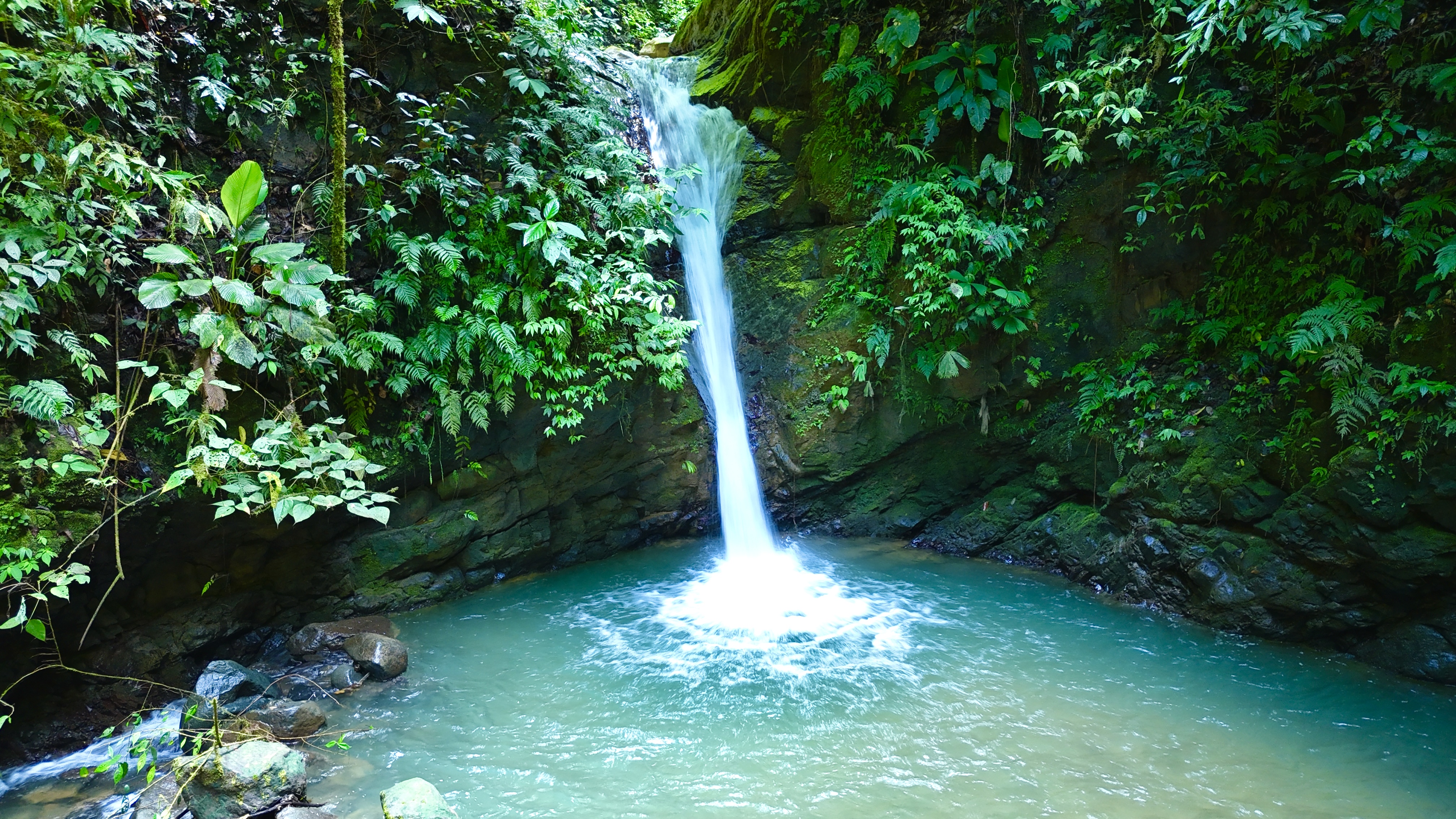 0 bed Land For Sale in Uvita, Puntarenas - thumb 9