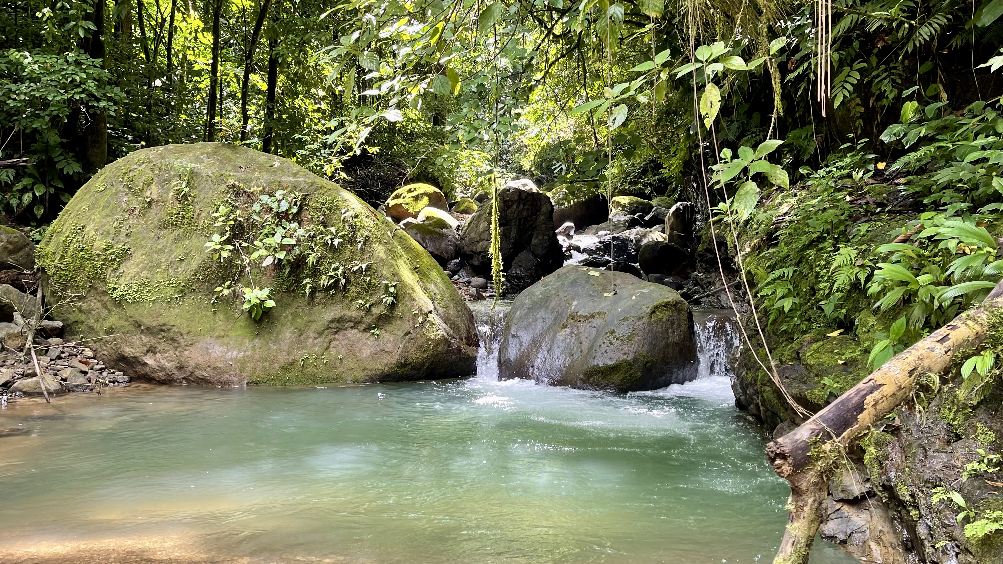 0 bed Land For Sale in Uvita, Puntarenas - thumb 19