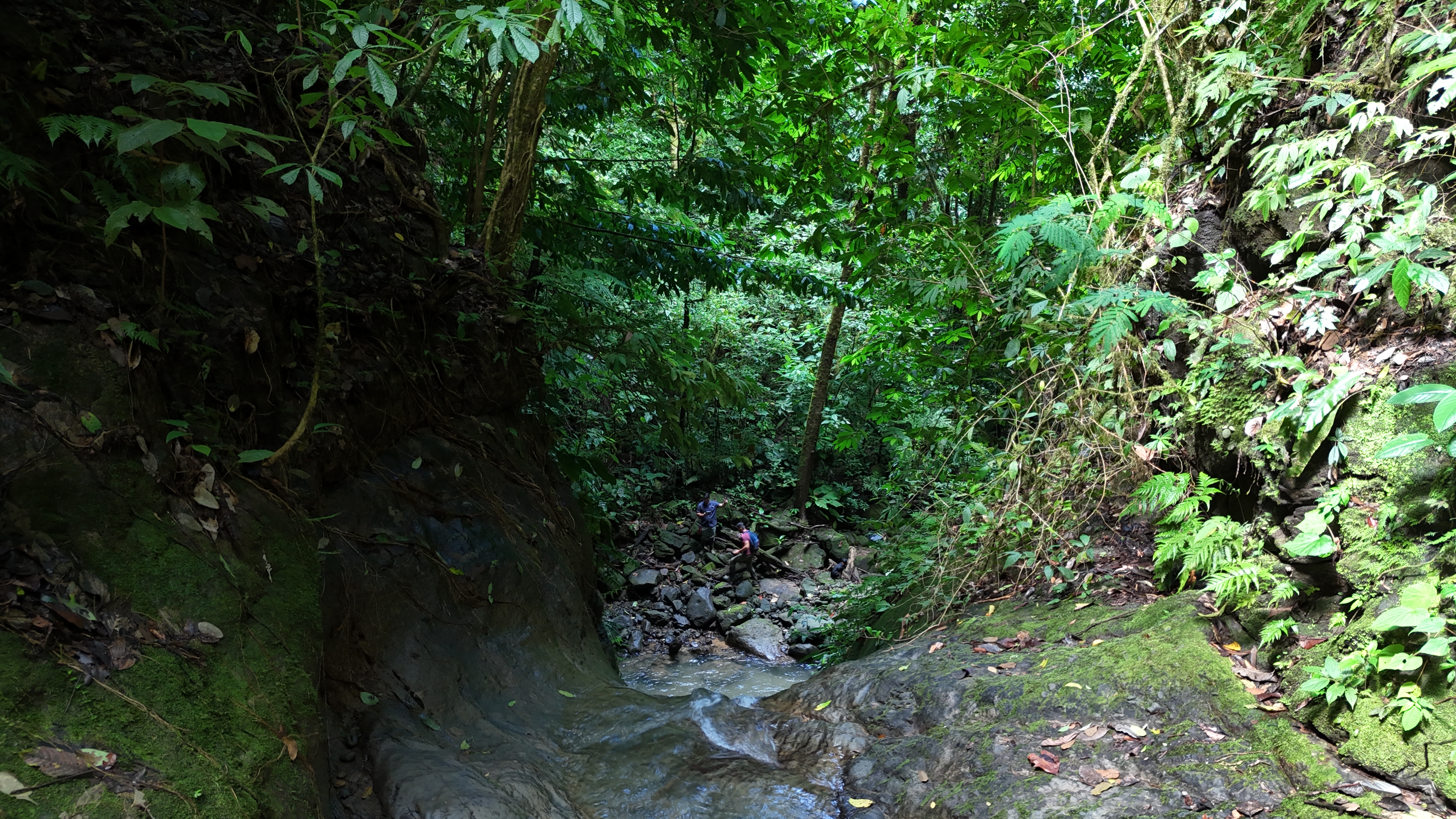 0 bed Land For Sale in Uvita, Puntarenas - thumb 10