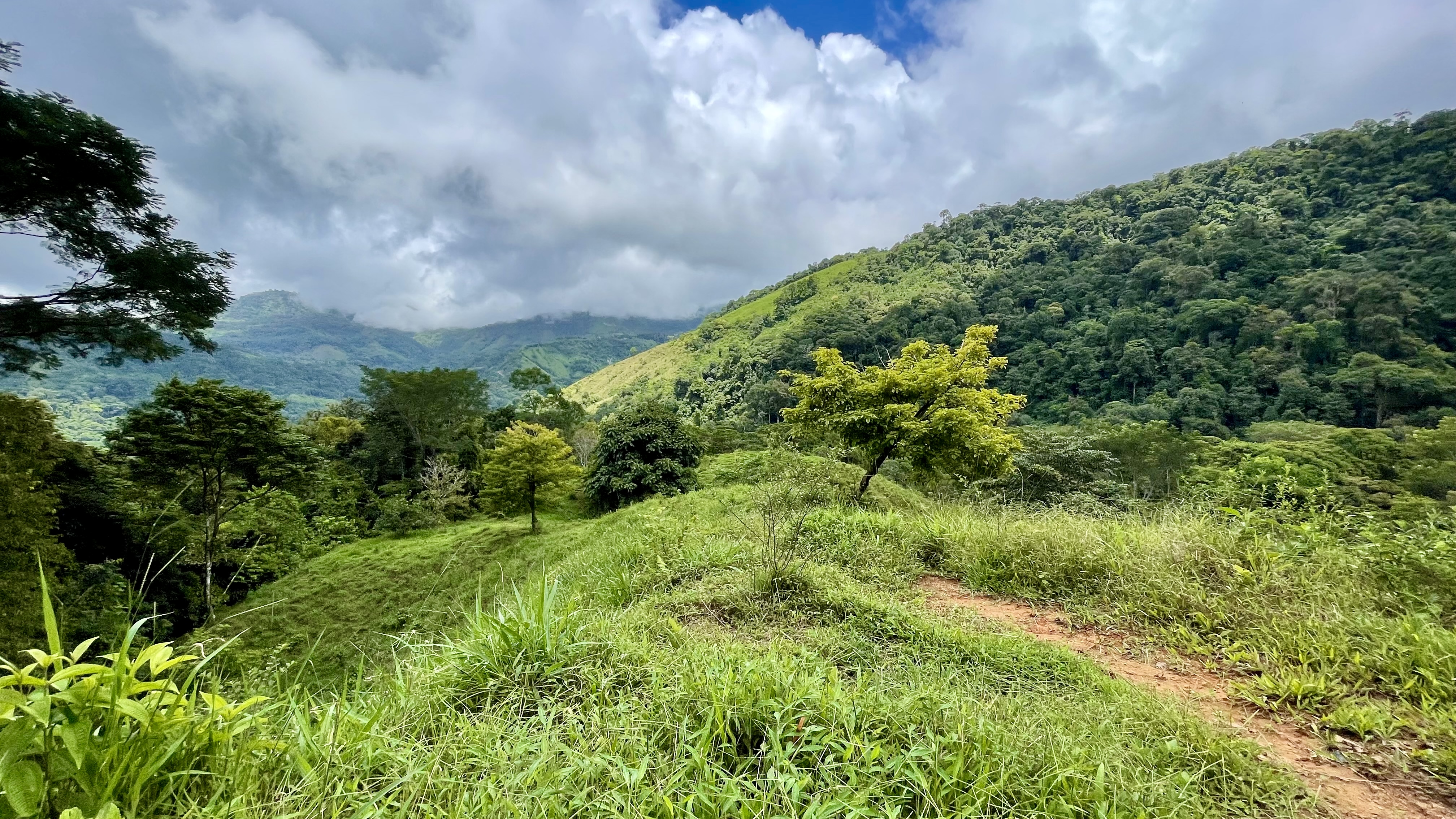 0 bed Land For Sale in Uvita, Puntarenas - thumb 24